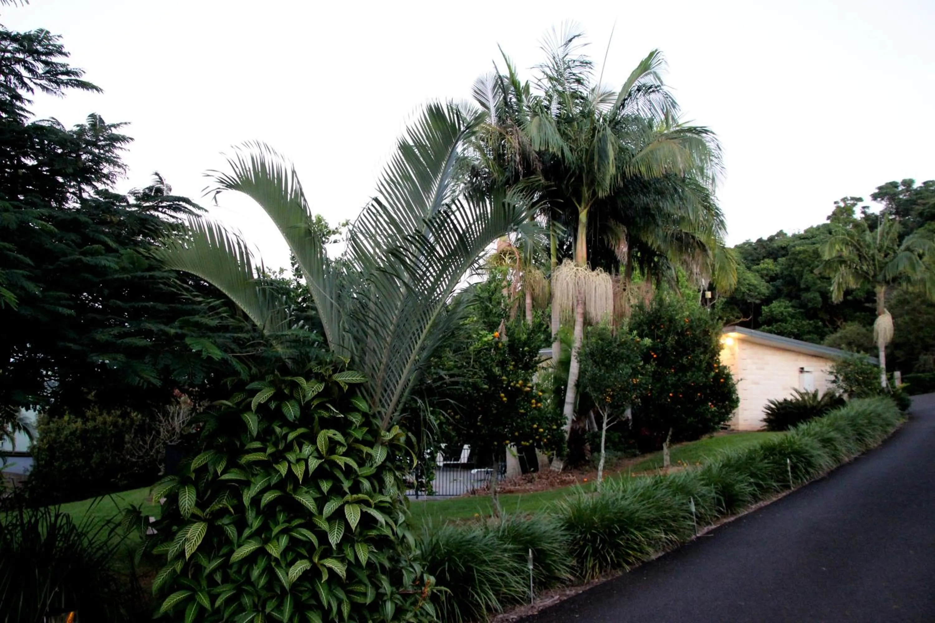 Property building in Alstonville Country Cottages