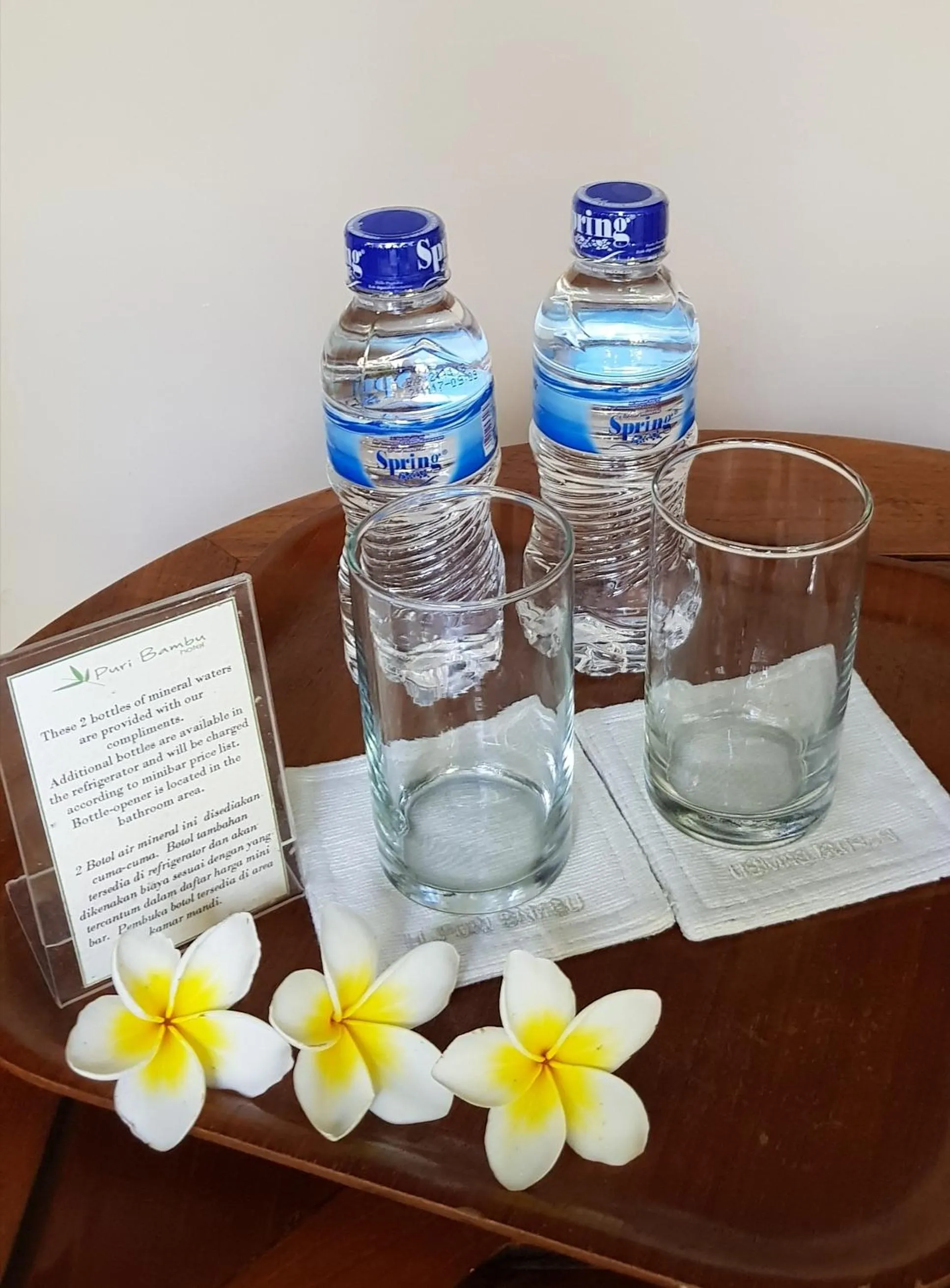 Non alcoholic drinks in Hotel Puri Bambu