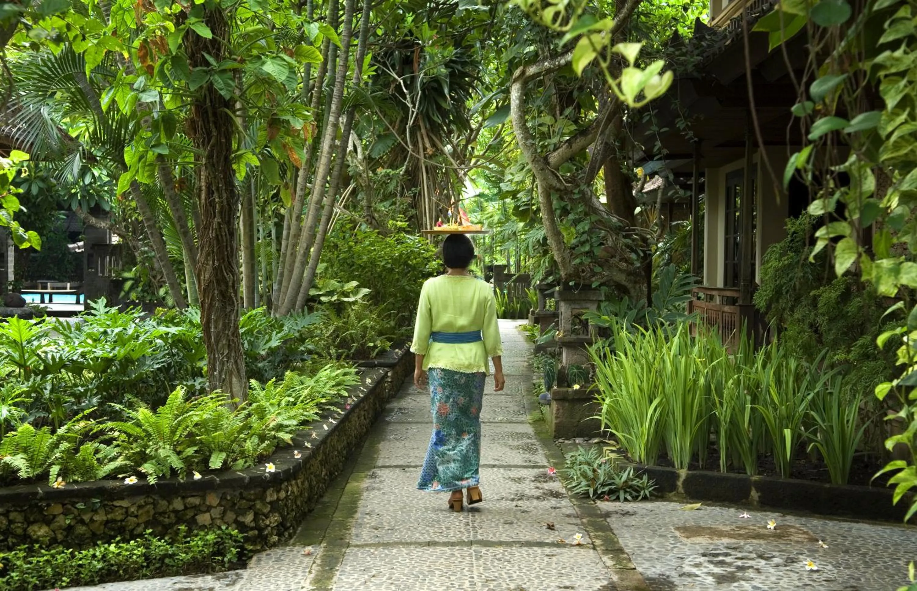 Natural landscape in Hotel Puri Bambu