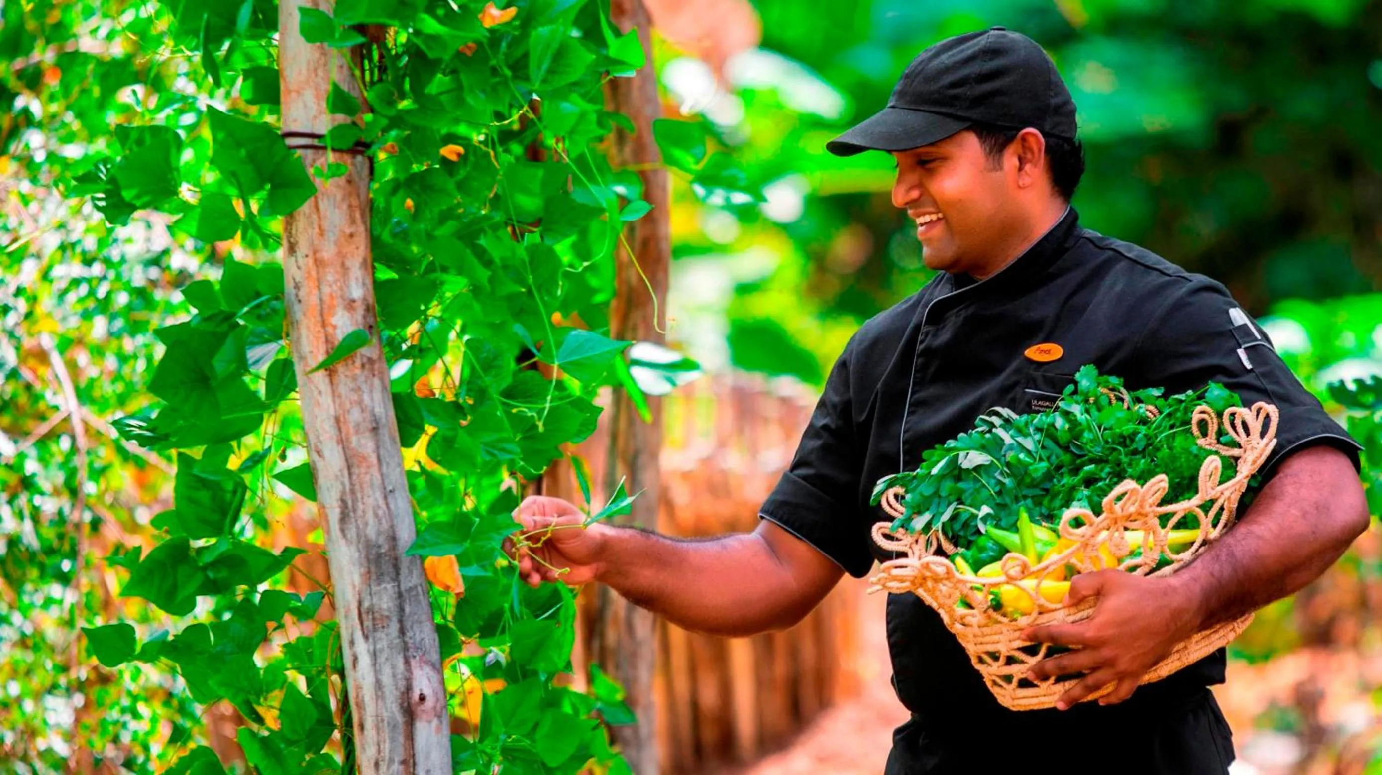 Decorative detail in Uga Ulagalla - Anuradhapura