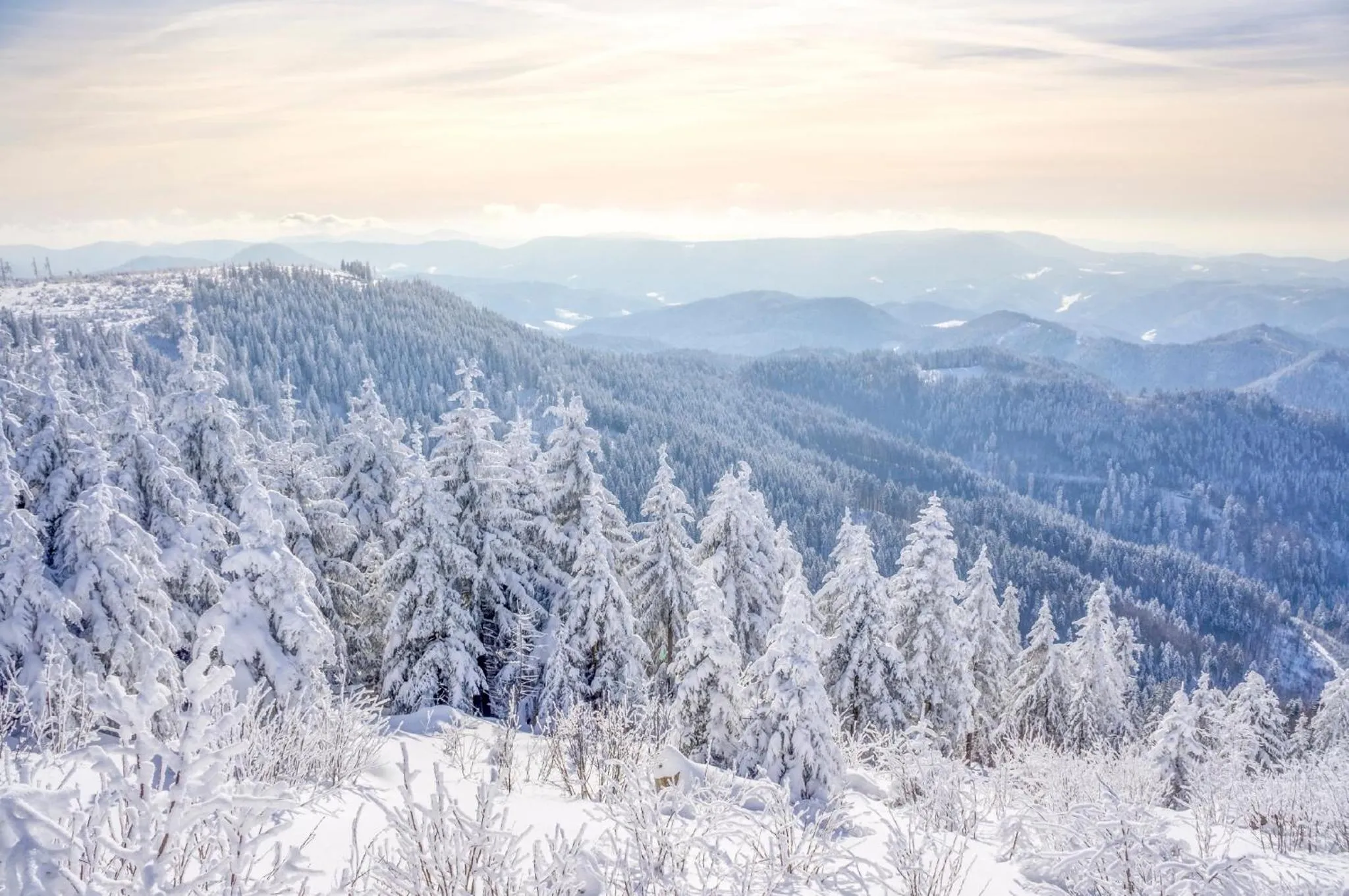 Natural landscape in Hapimag Ferienwohnungen Unterkirnach