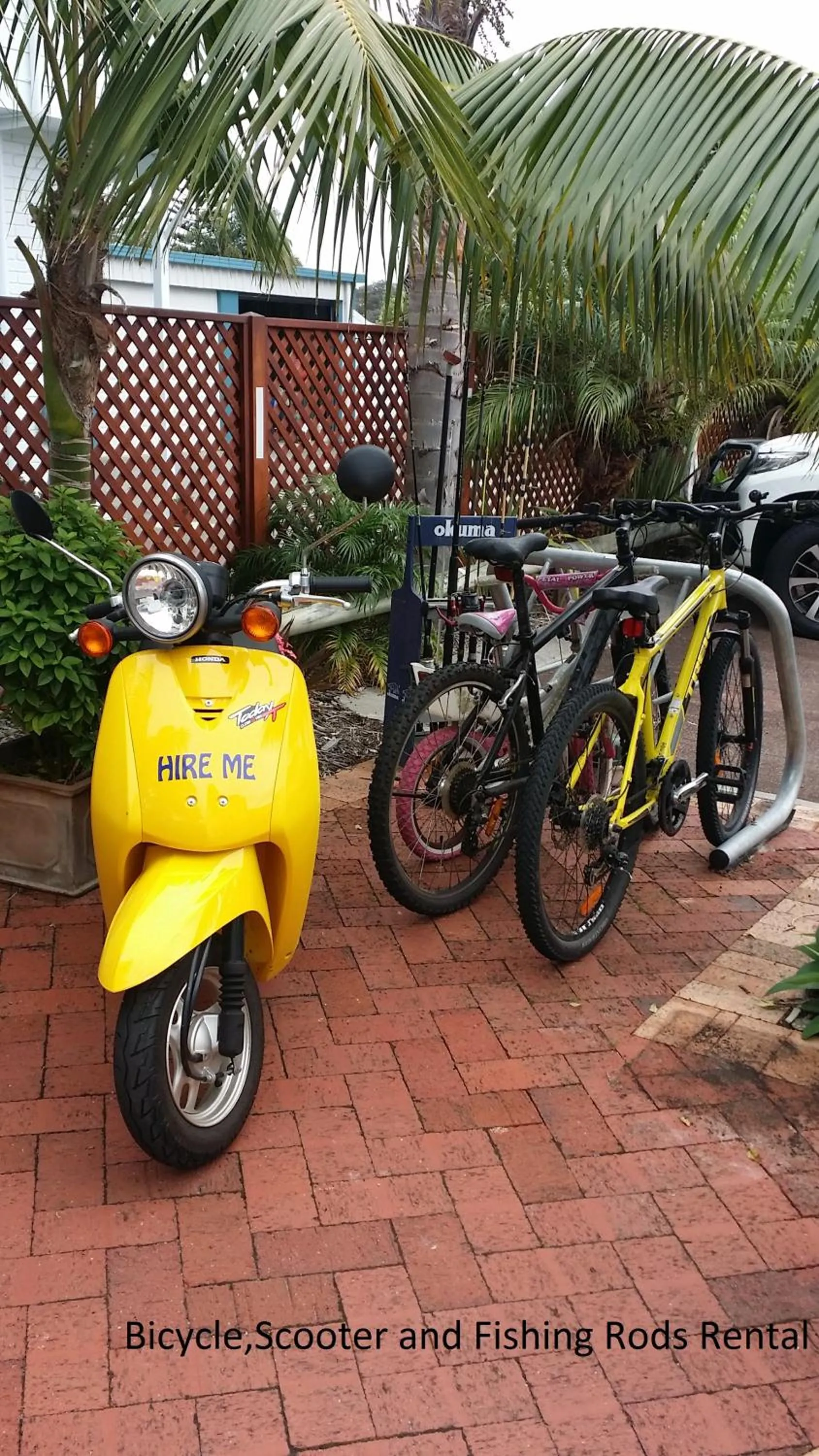 Cycling in Dolphin Lodge Albany - Self Contained Apartments at Middleton Beach