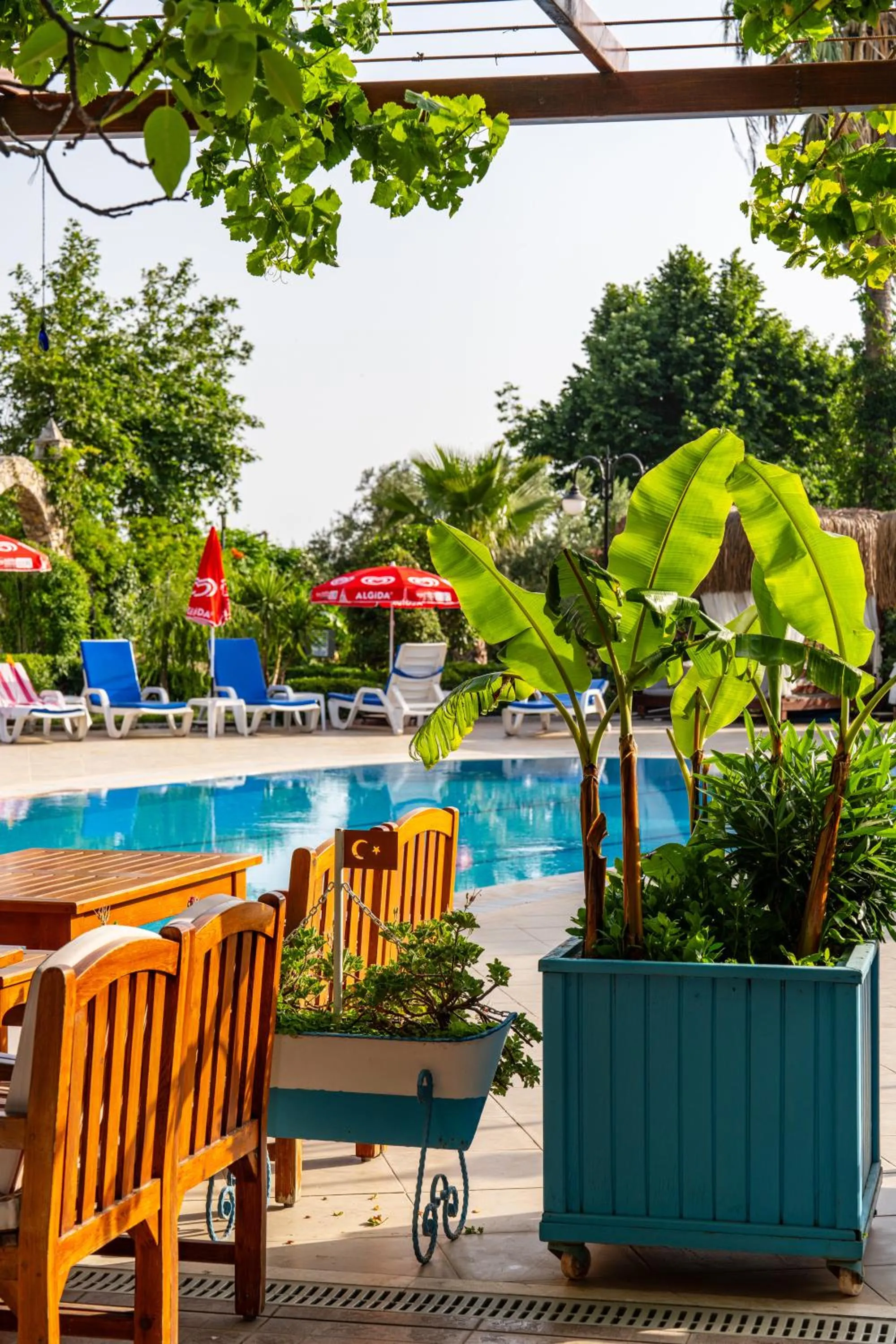 Restaurant/places to eat in Gokcen Hotel & Apartments