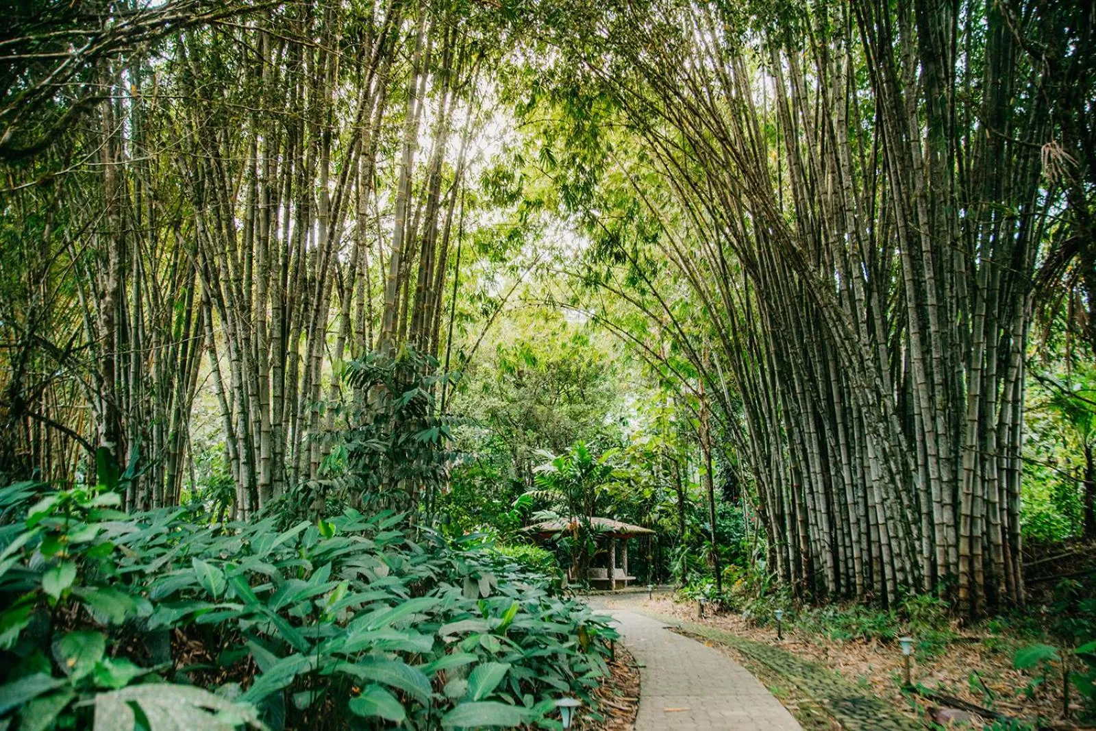 Arahuana Jungle Resort & Spa