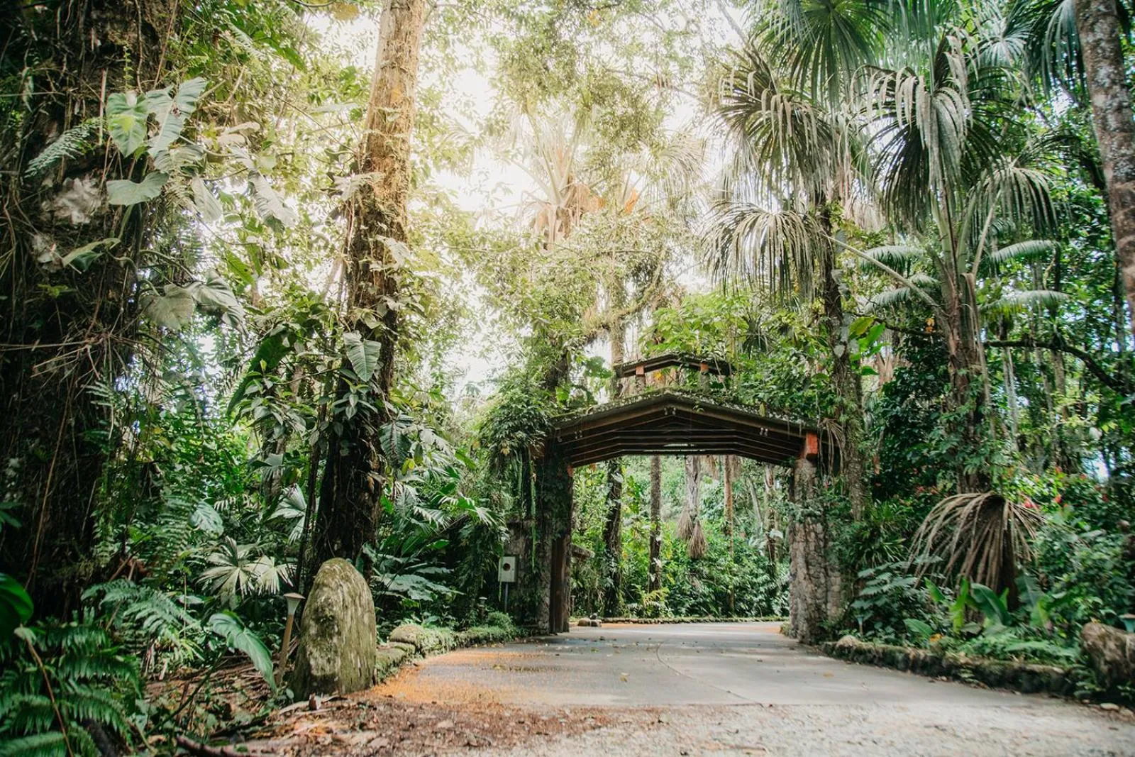 Arahuana Jungle Resort & Spa