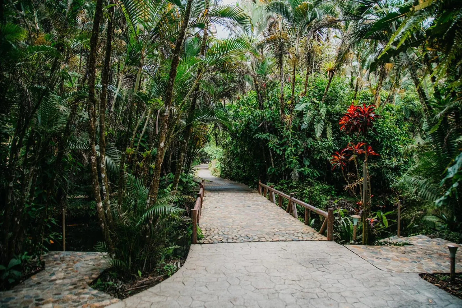 Arahuana Jungle Resort & Spa