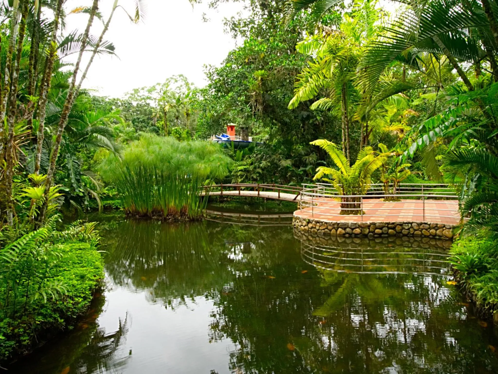 Garden view in Arahuana Jungle Resort & Spa