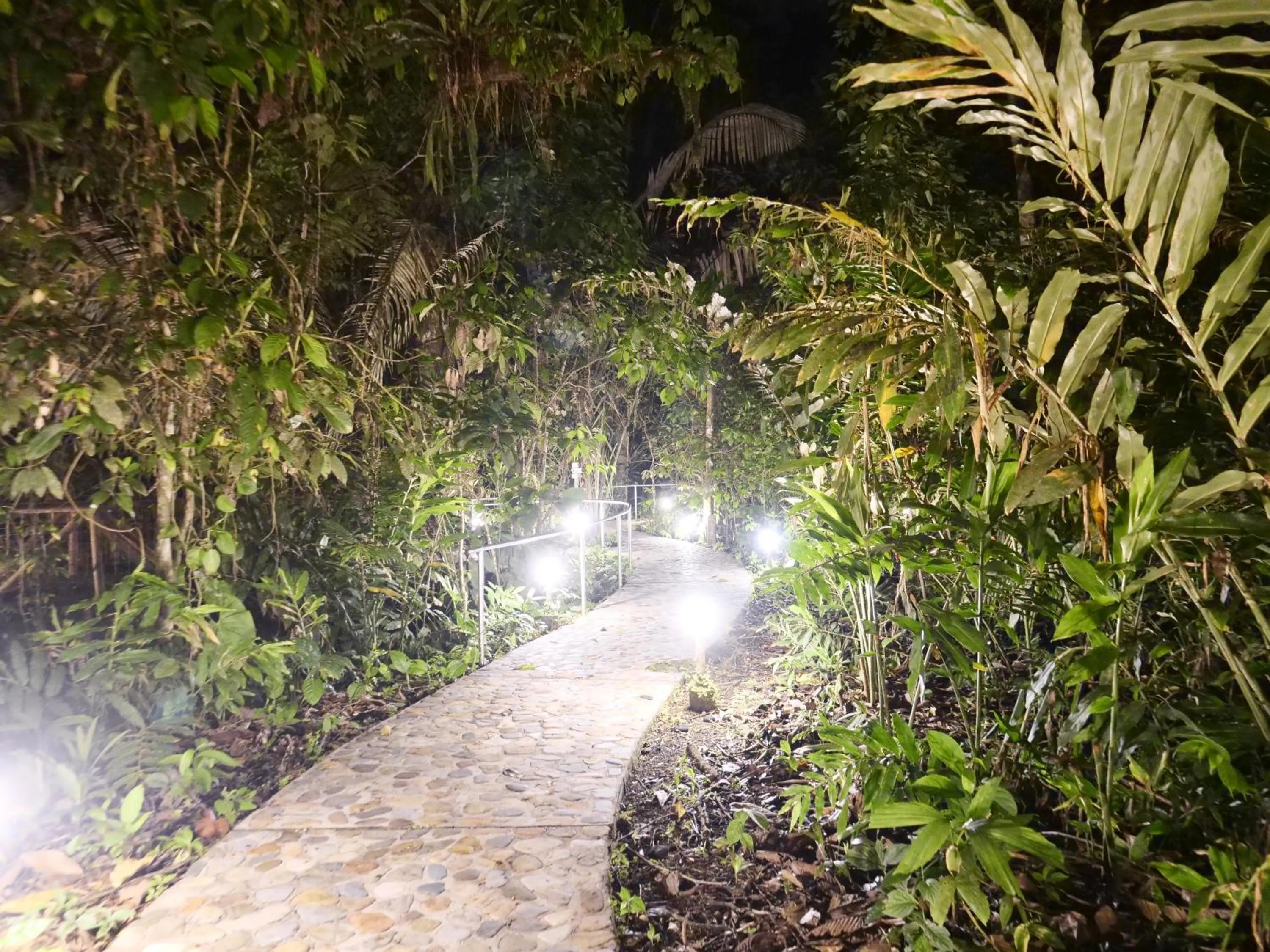Arahuana Jungle Resort & Spa