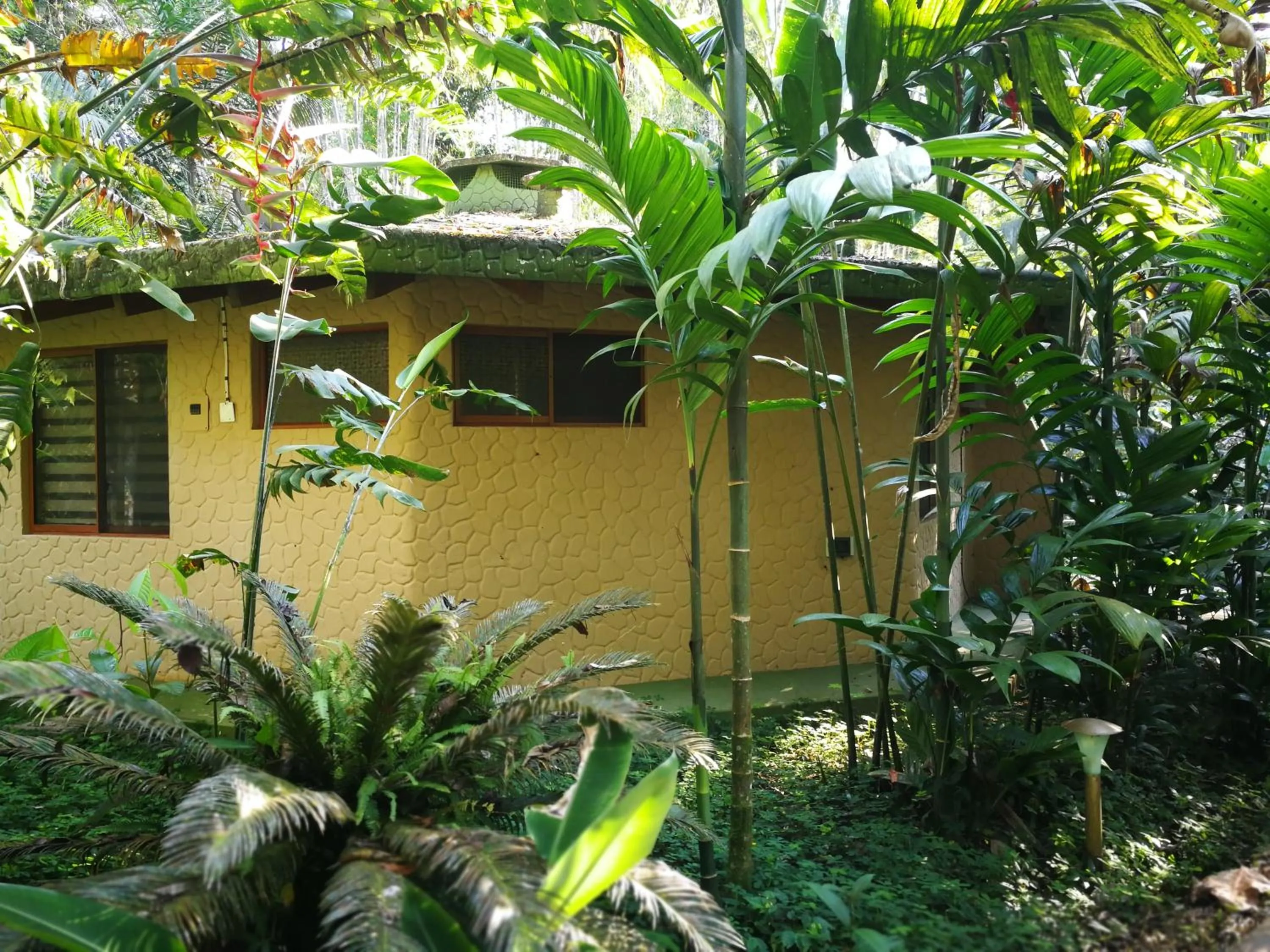 Arahuana Jungle Resort & Spa