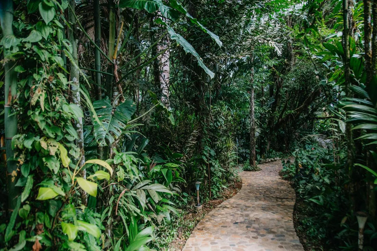 Garden in Arahuana Jungle Resort & Spa
