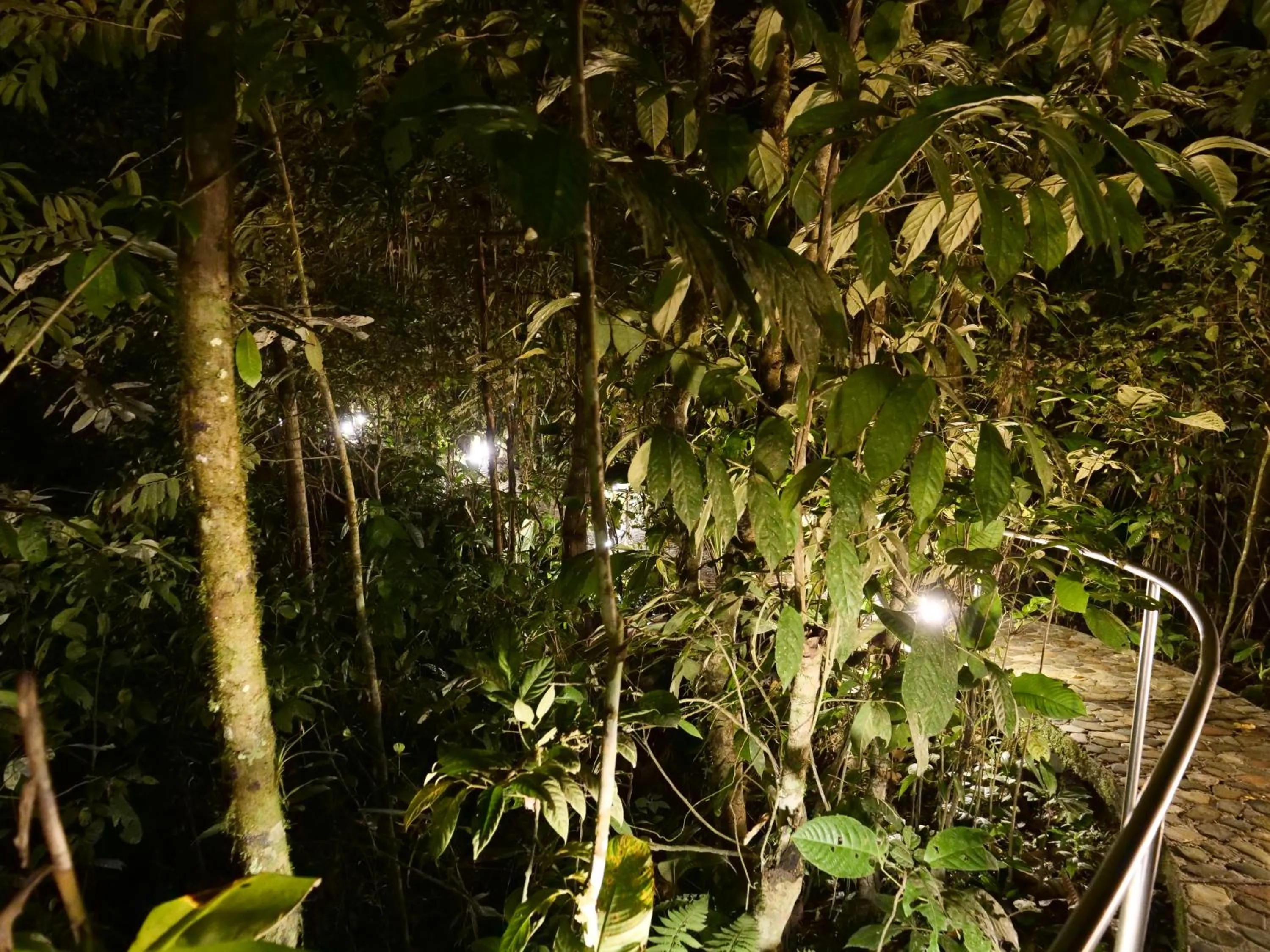 Arahuana Jungle Resort & Spa