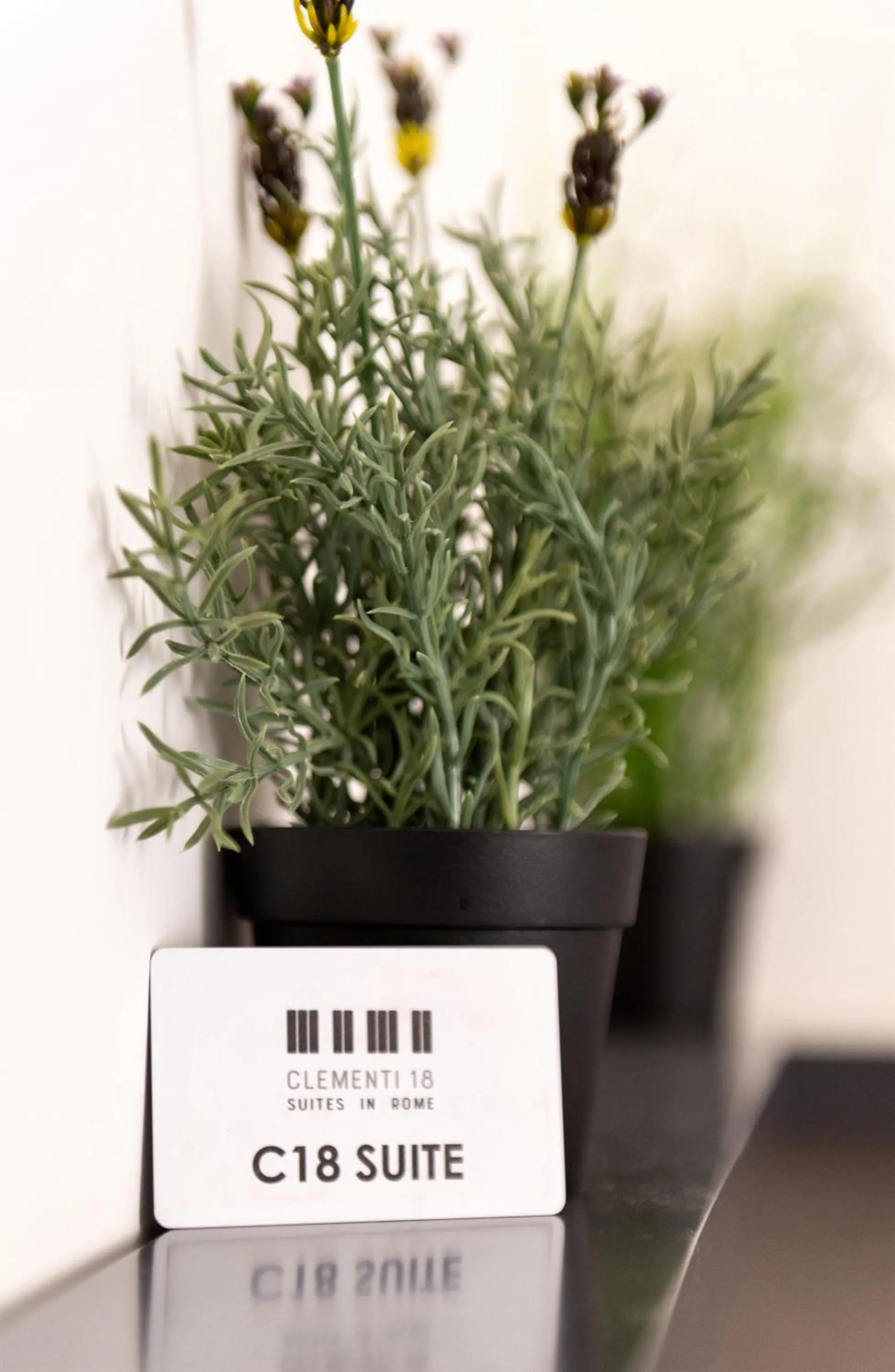 Clementi 18 Suites Rome