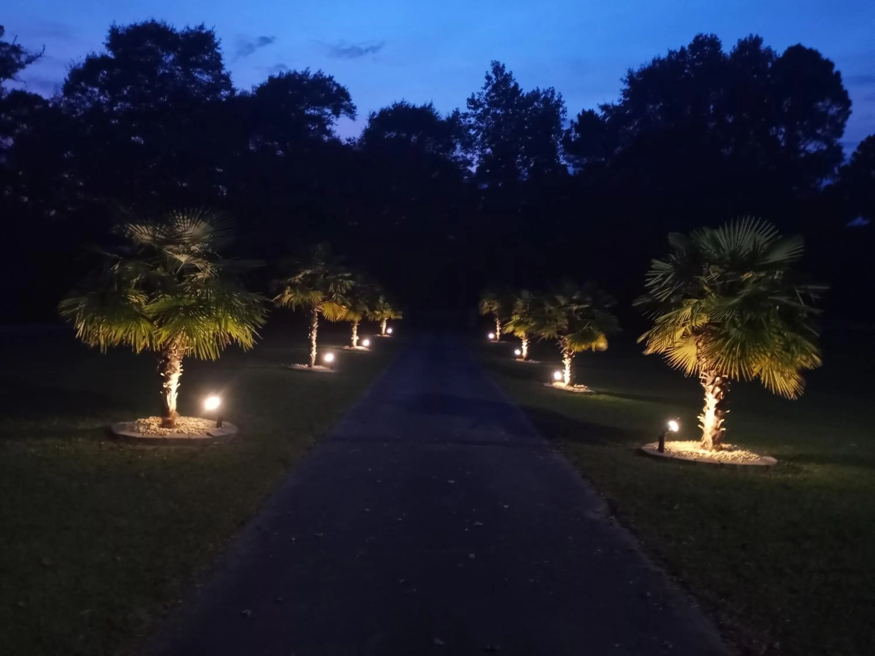 Natural landscape in Cozy Mobay