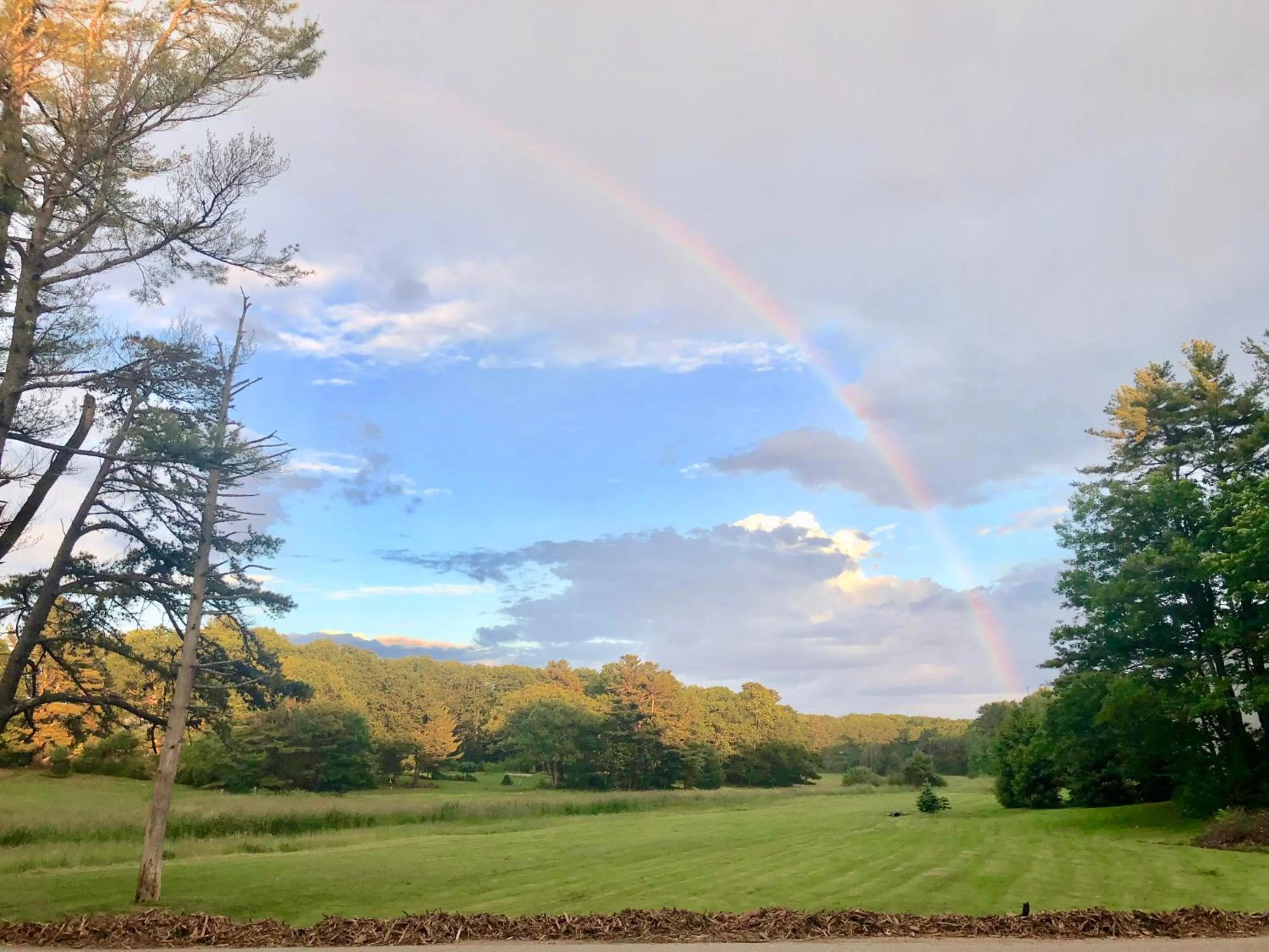 Natural landscape in Kennebunkport Motor Lodge