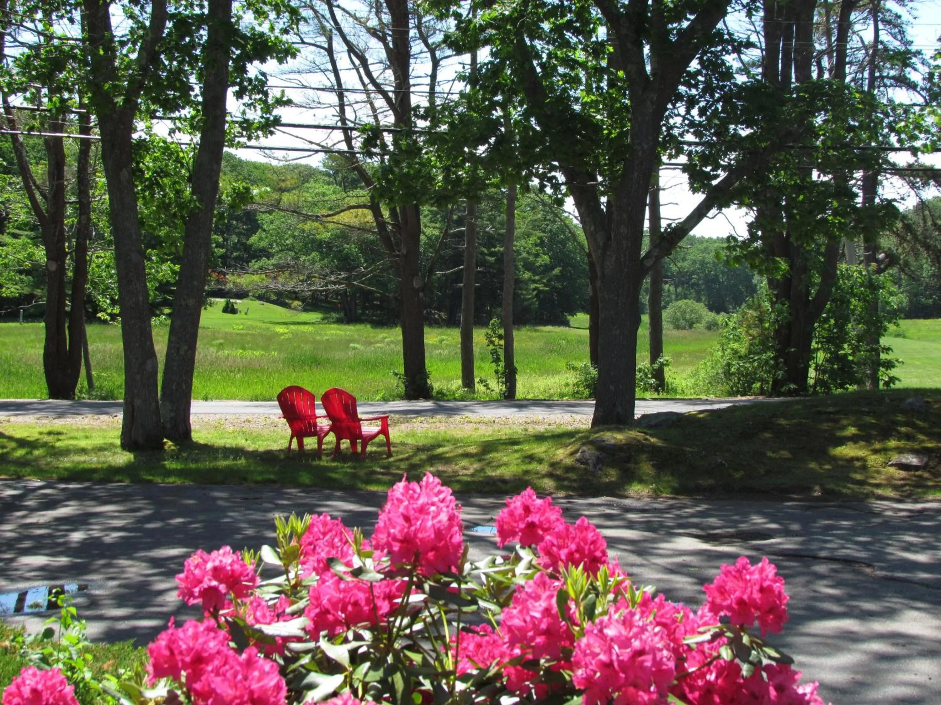 View (from property/room) in Kennebunkport Motor Lodge