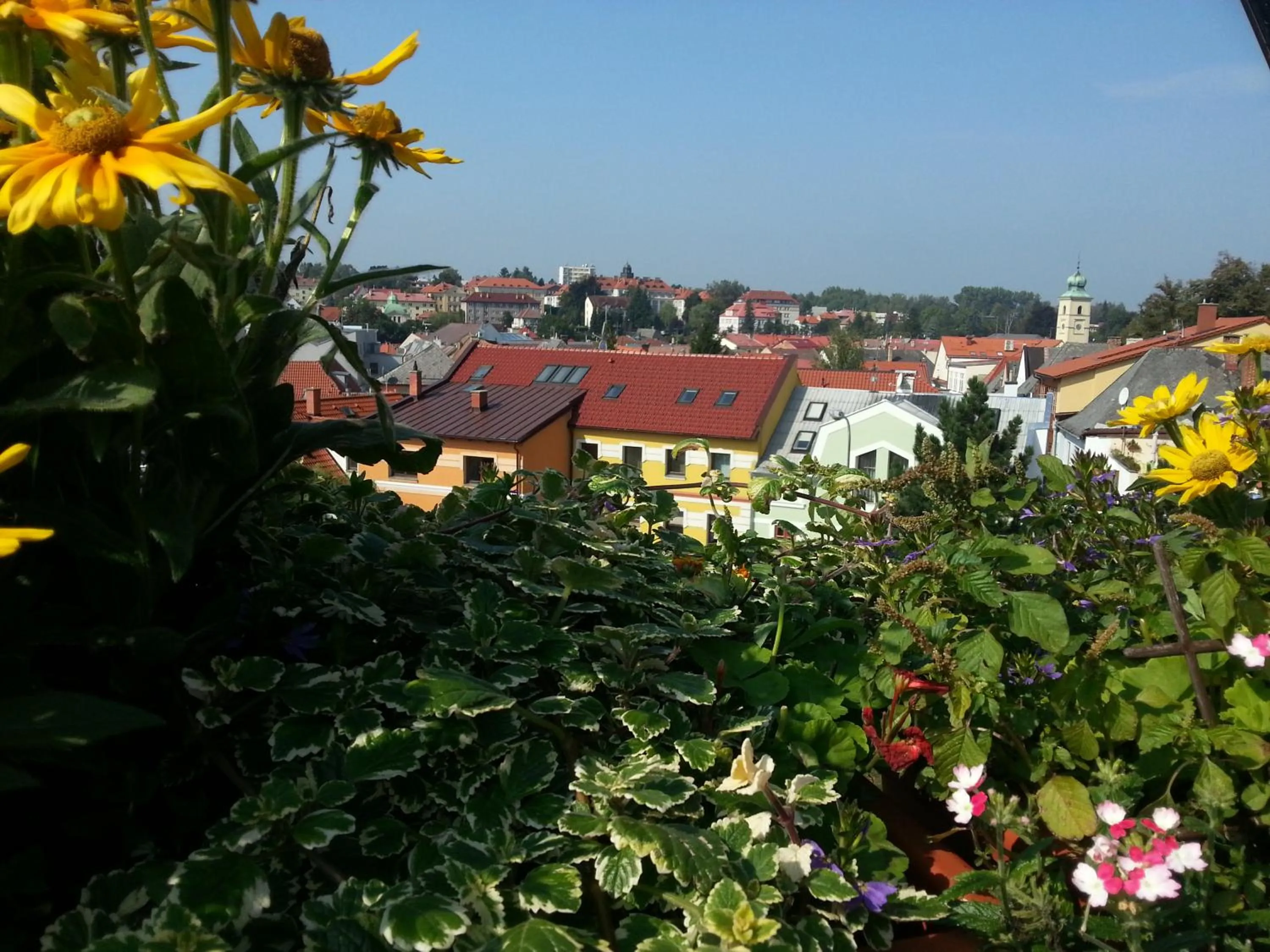 View (from property/room) in Antik Hotel Sofia