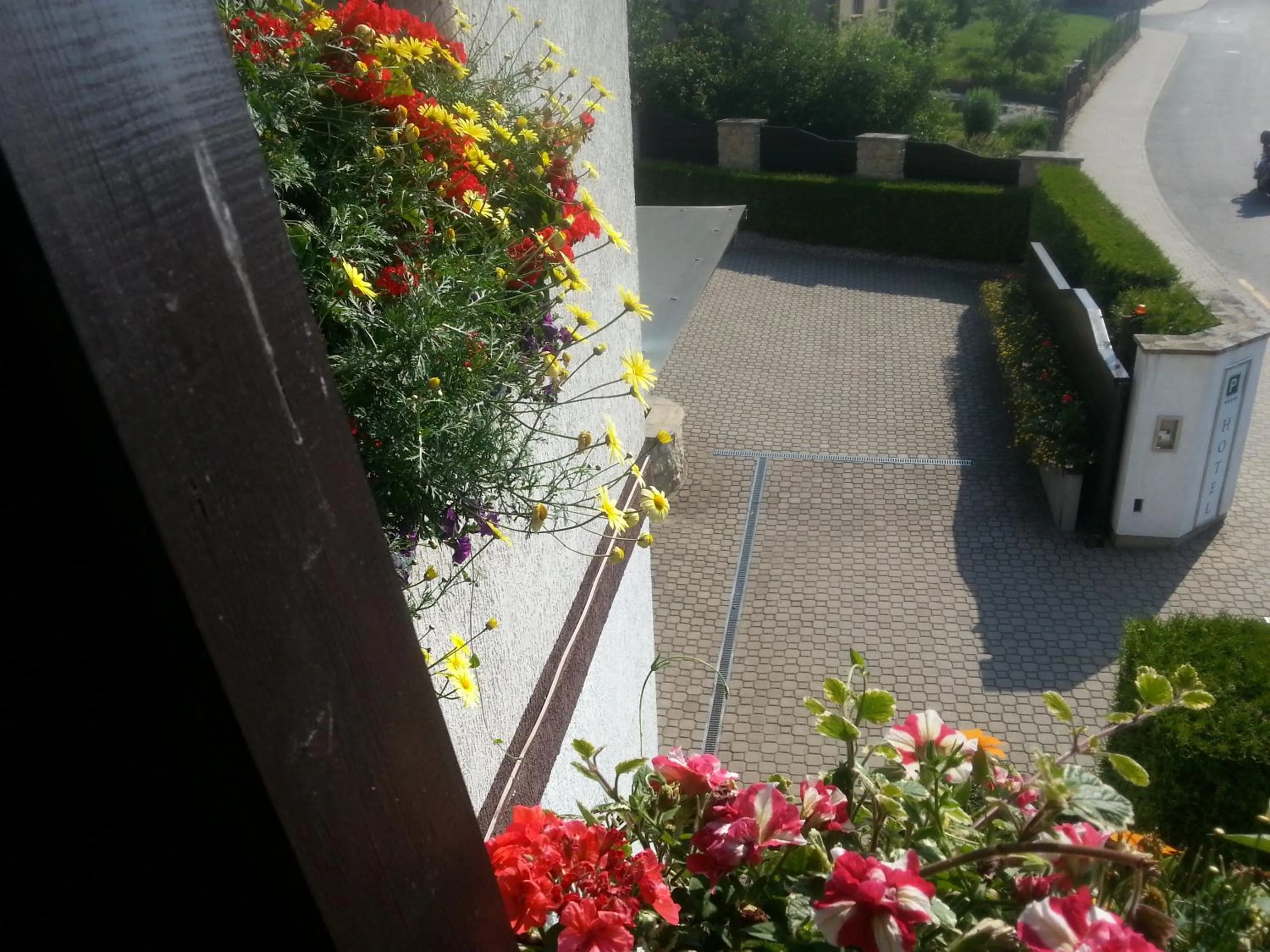 View (from property/room) in Antik Hotel Sofia