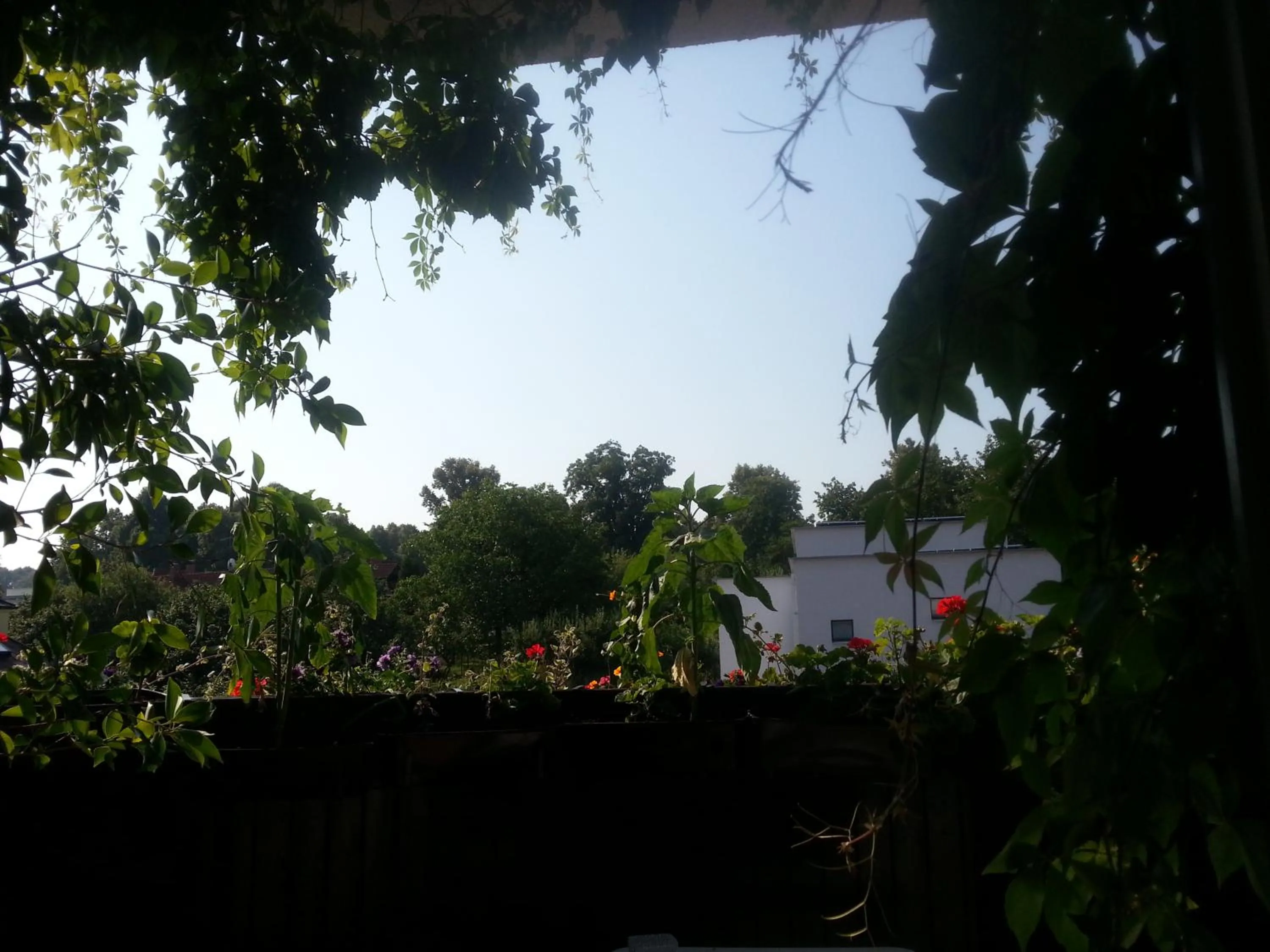 Balcony/Terrace in Antik Hotel Sofia