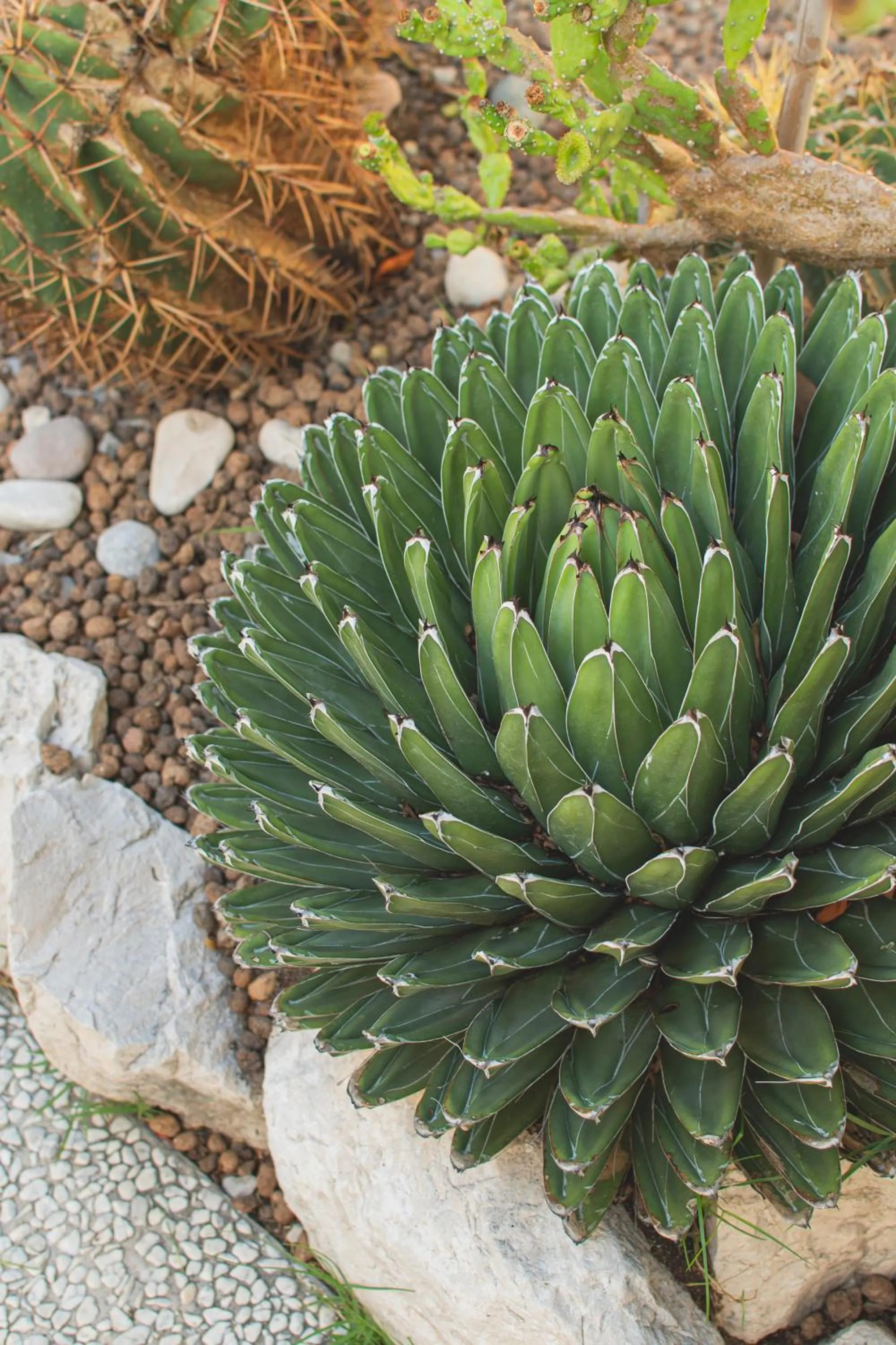 Garden in Marina 10 Design Hotel & SPA
