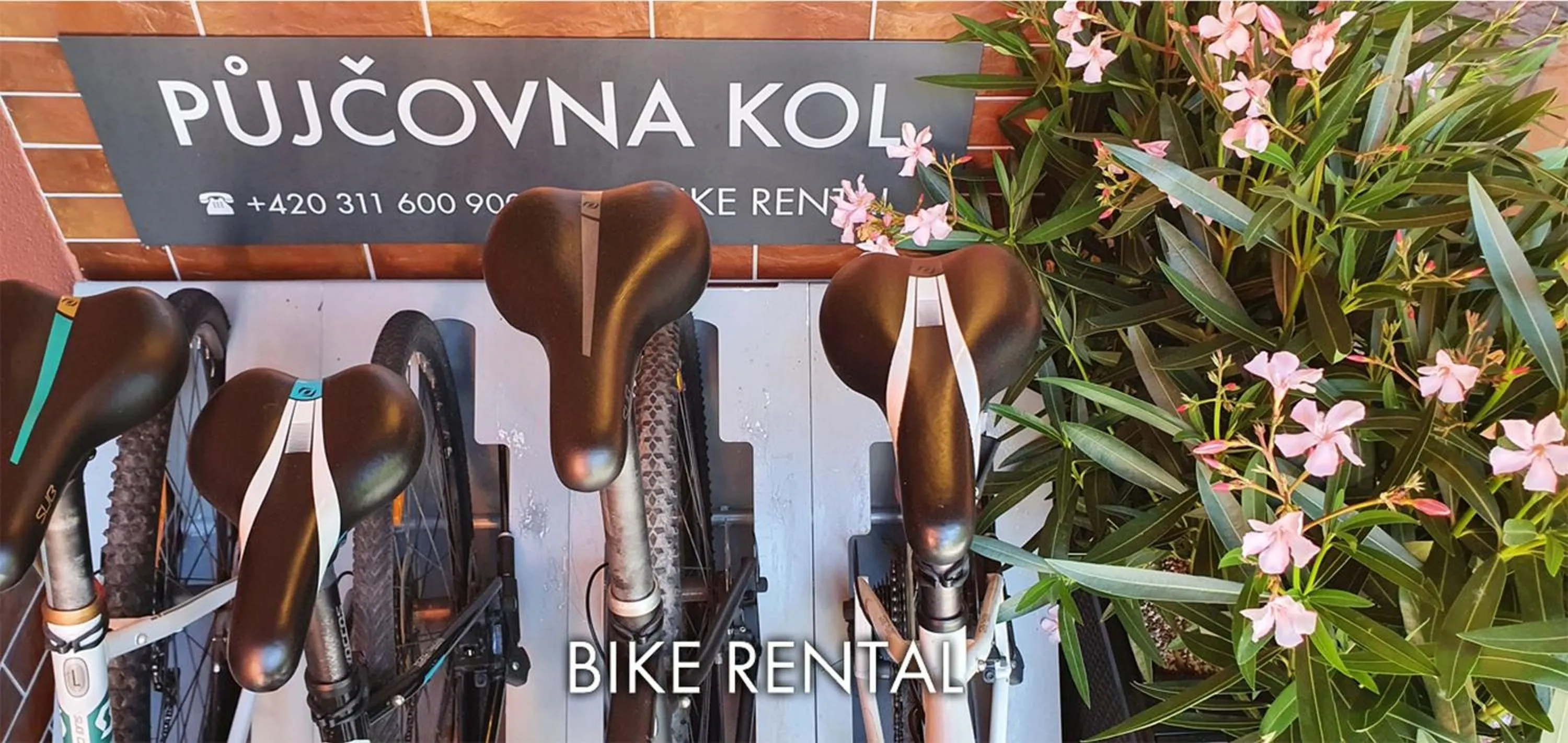 Property building in Hotel Karlštejn & SPA