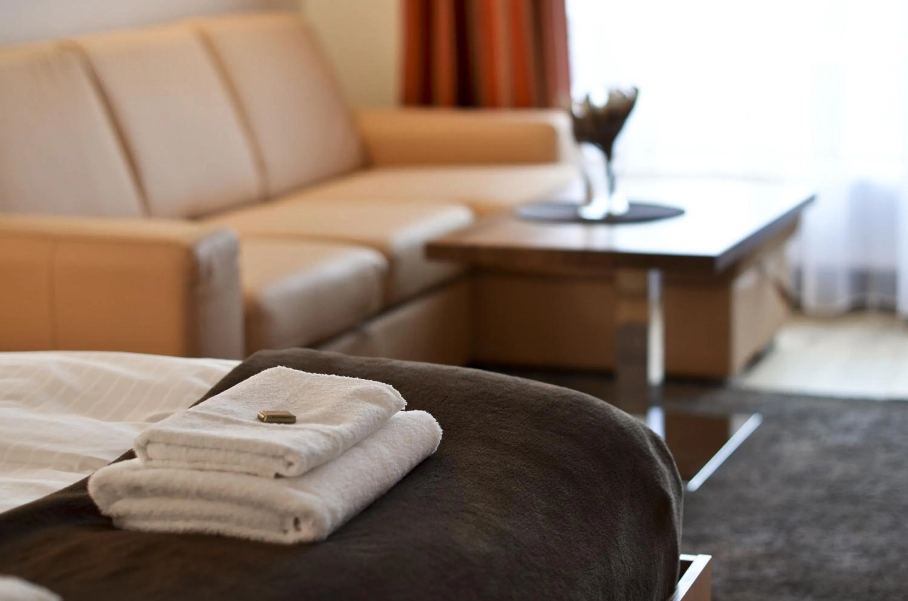 Double or Twin Room with Terrace - single occupancy in Hotel U Kozicky