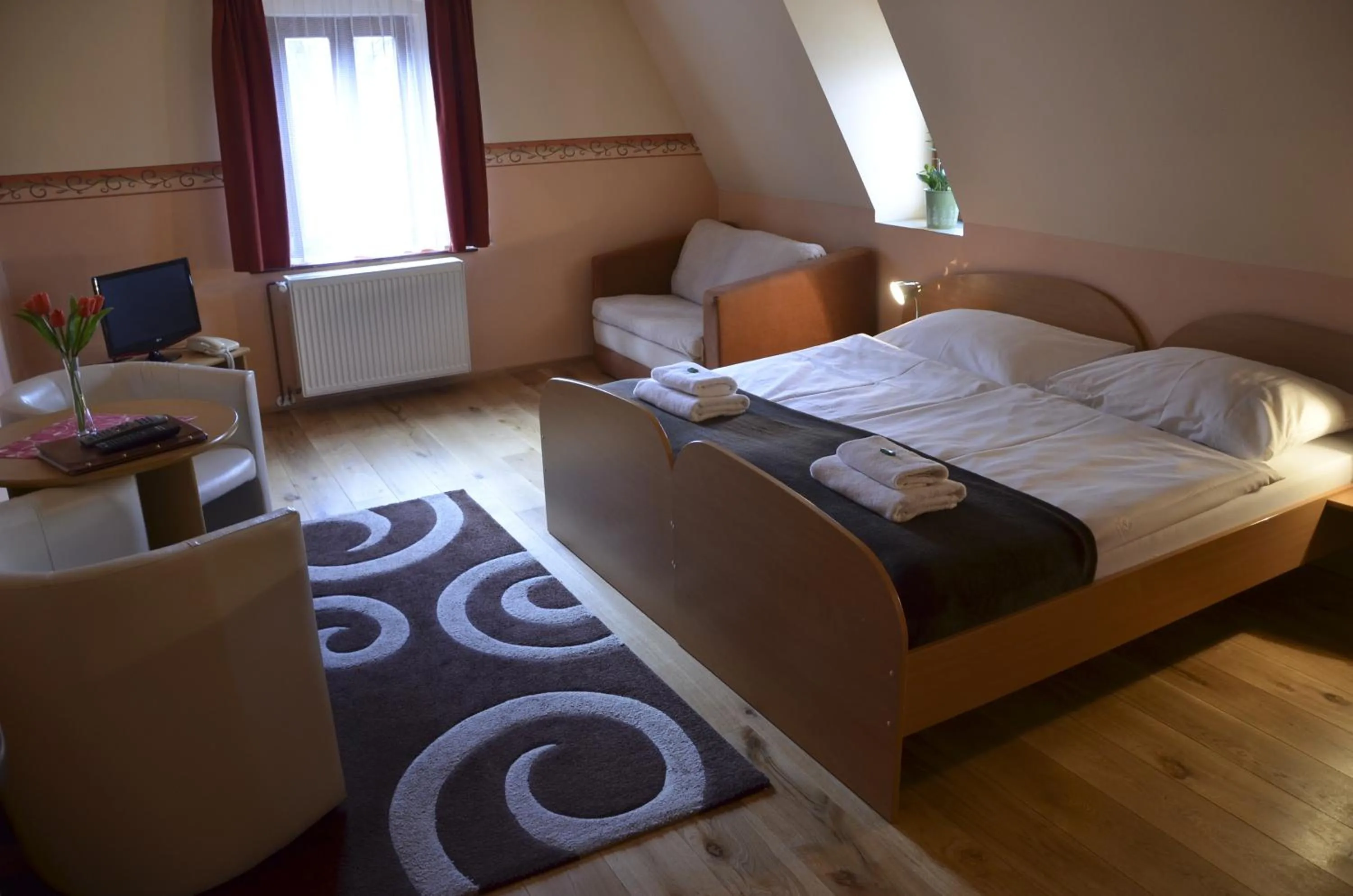 Double or Twin Room with Park View - single occupancy in Hotel U Kozicky