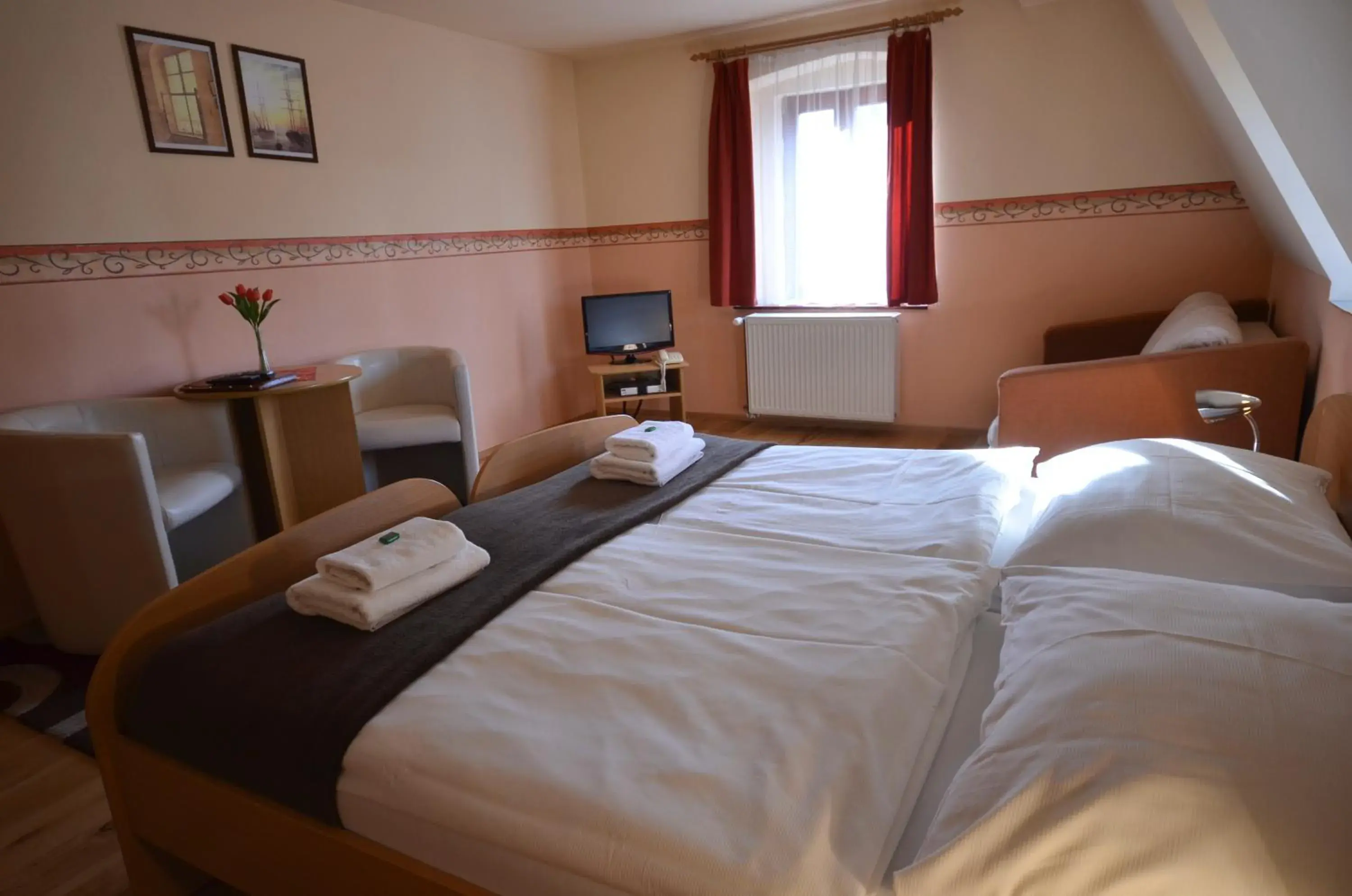 Double or Twin Room with Park View - single occupancy in Hotel U Kozicky Double or Twin Room with Park View - single occupancy in Hotel U Kozicky