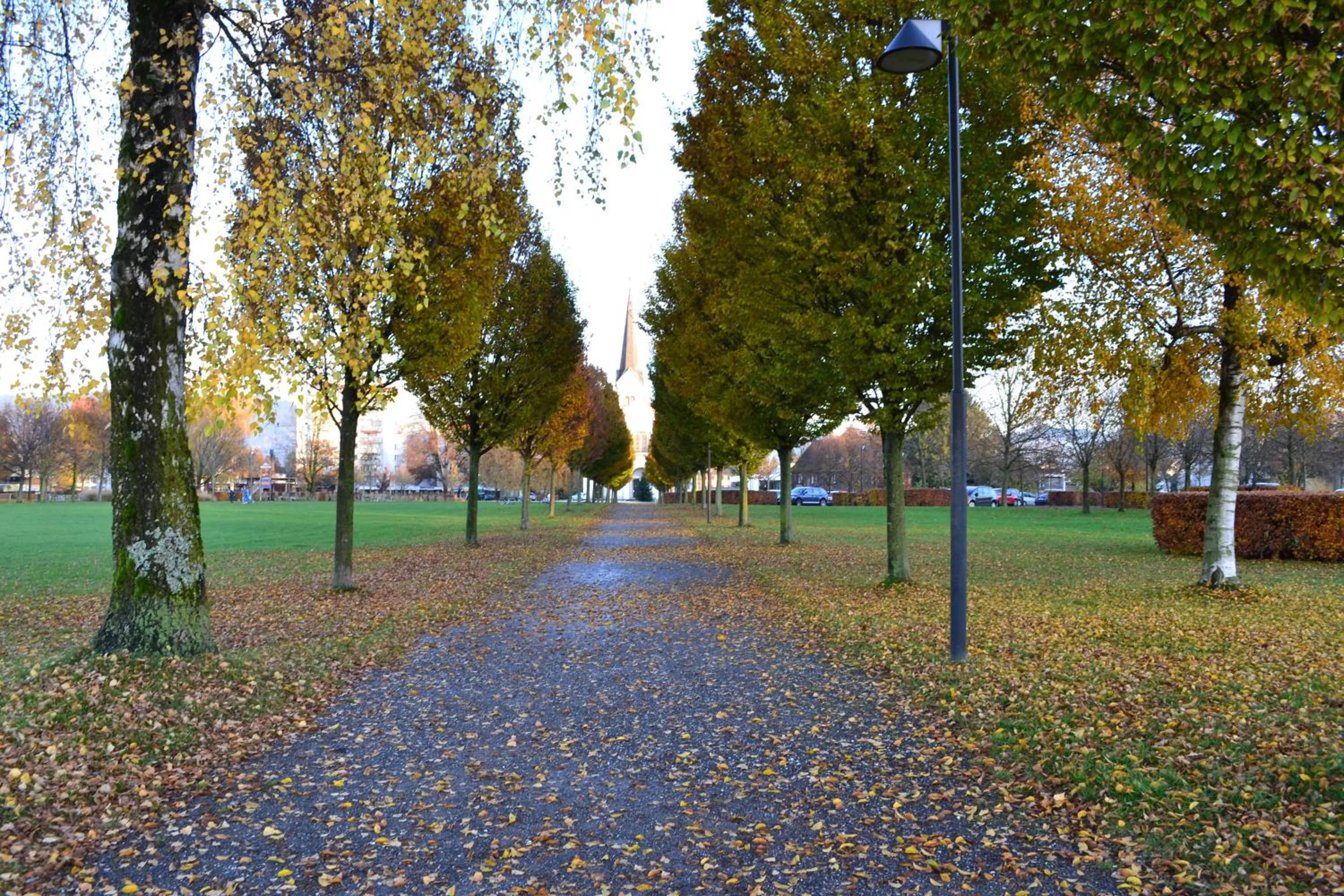 Natural landscape in Gästehaus Gritsch
