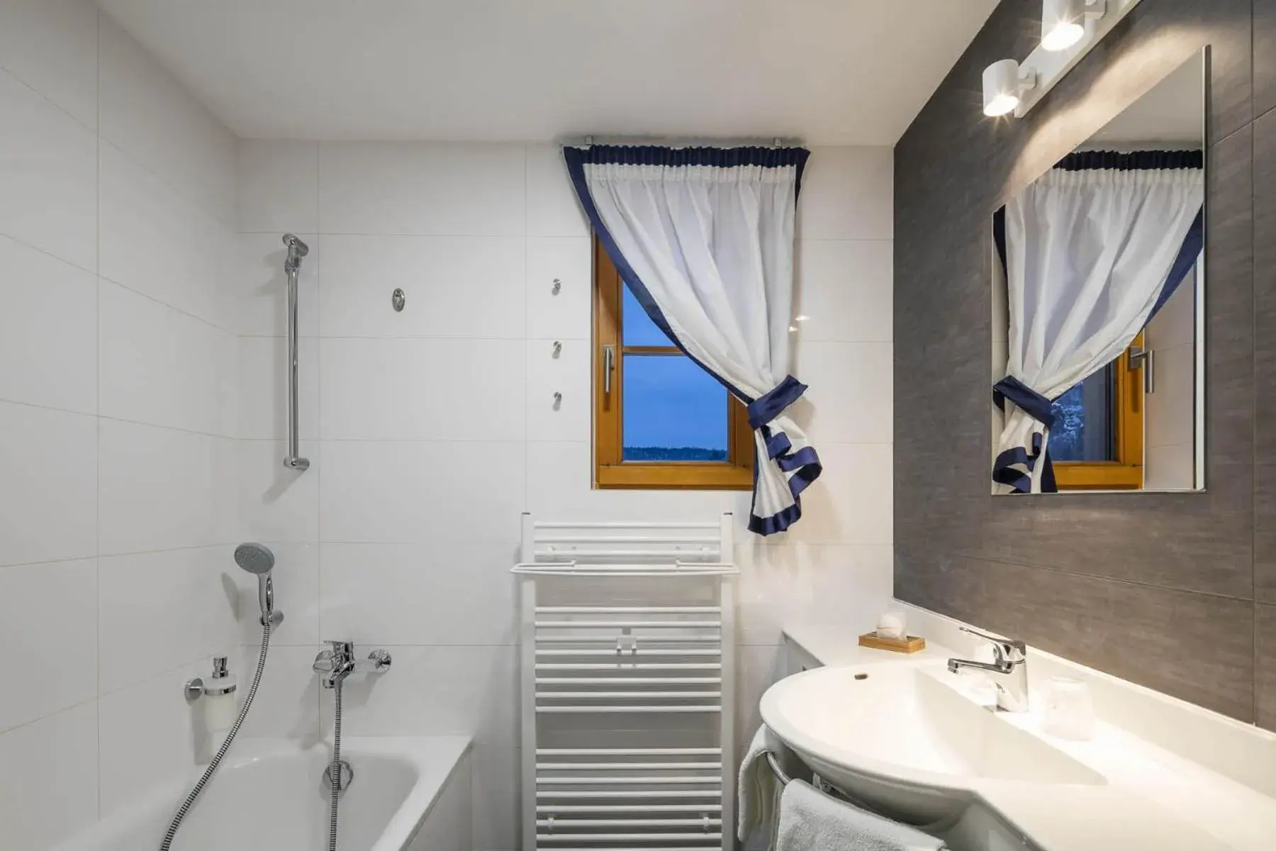 Suite - single occupancy in Hotel Ostrov Suite - single occupancy in Hotel Ostrov