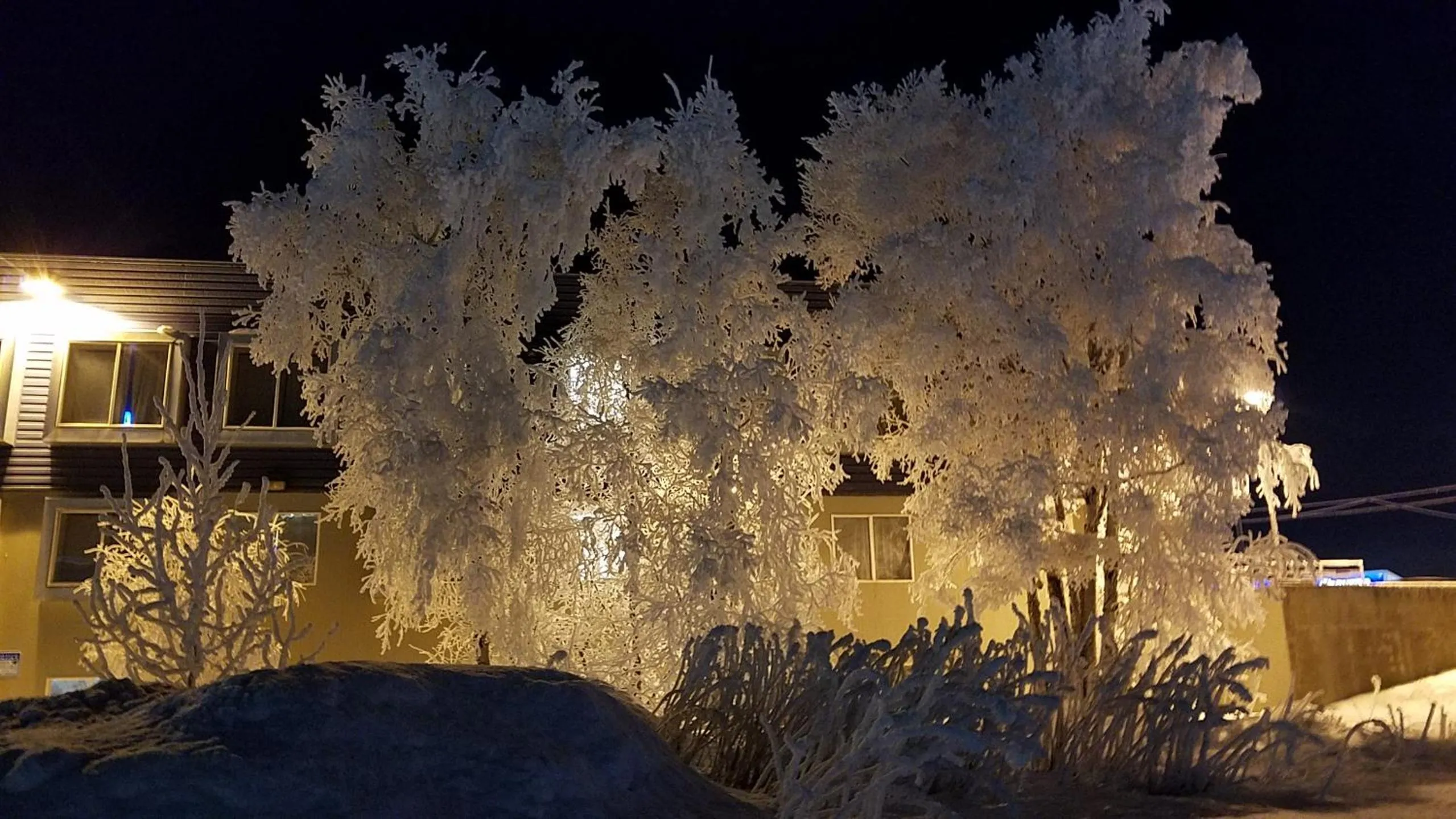 Natural landscape in Ingra House Hotel
