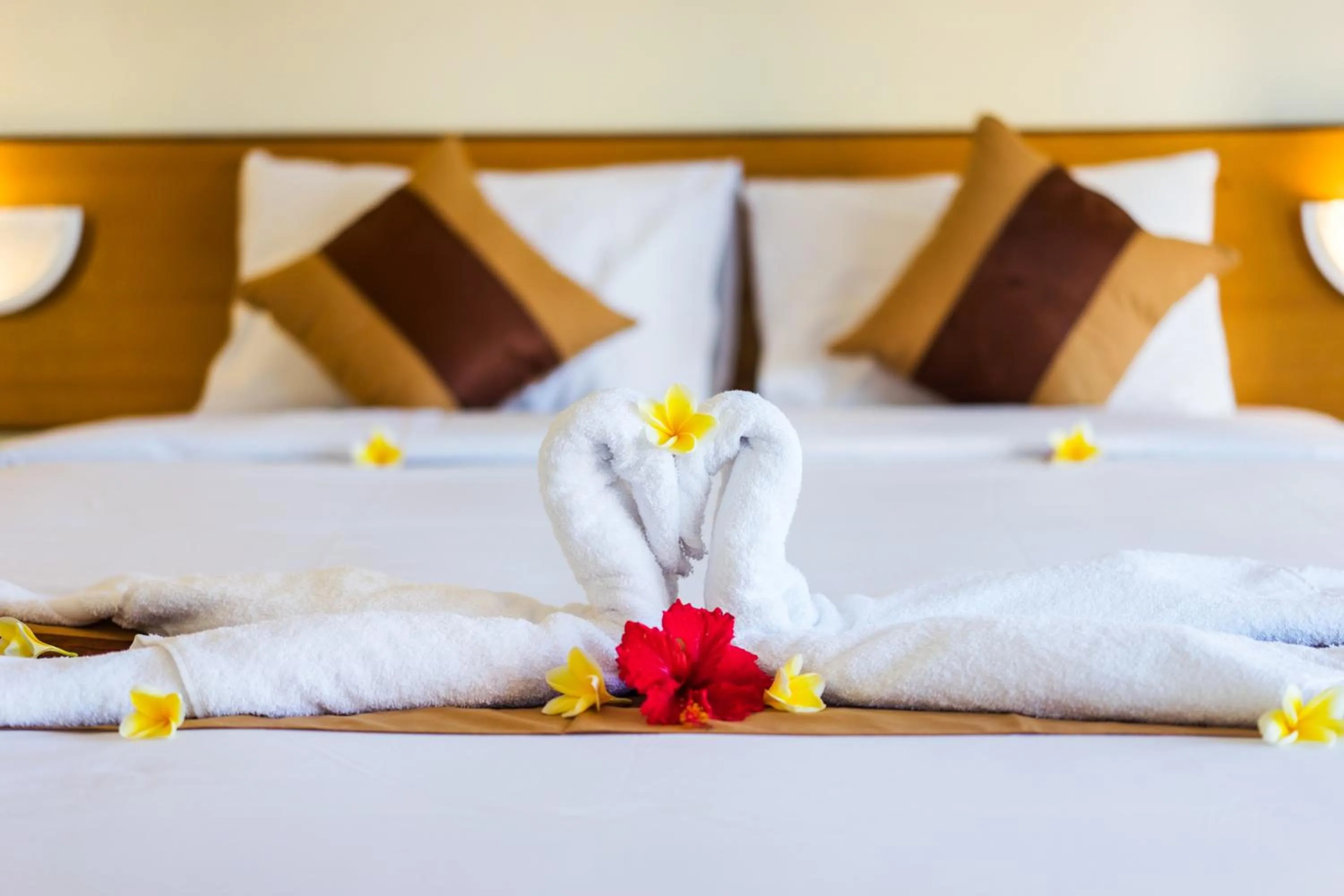 Bed in Seaweed Guesthouse