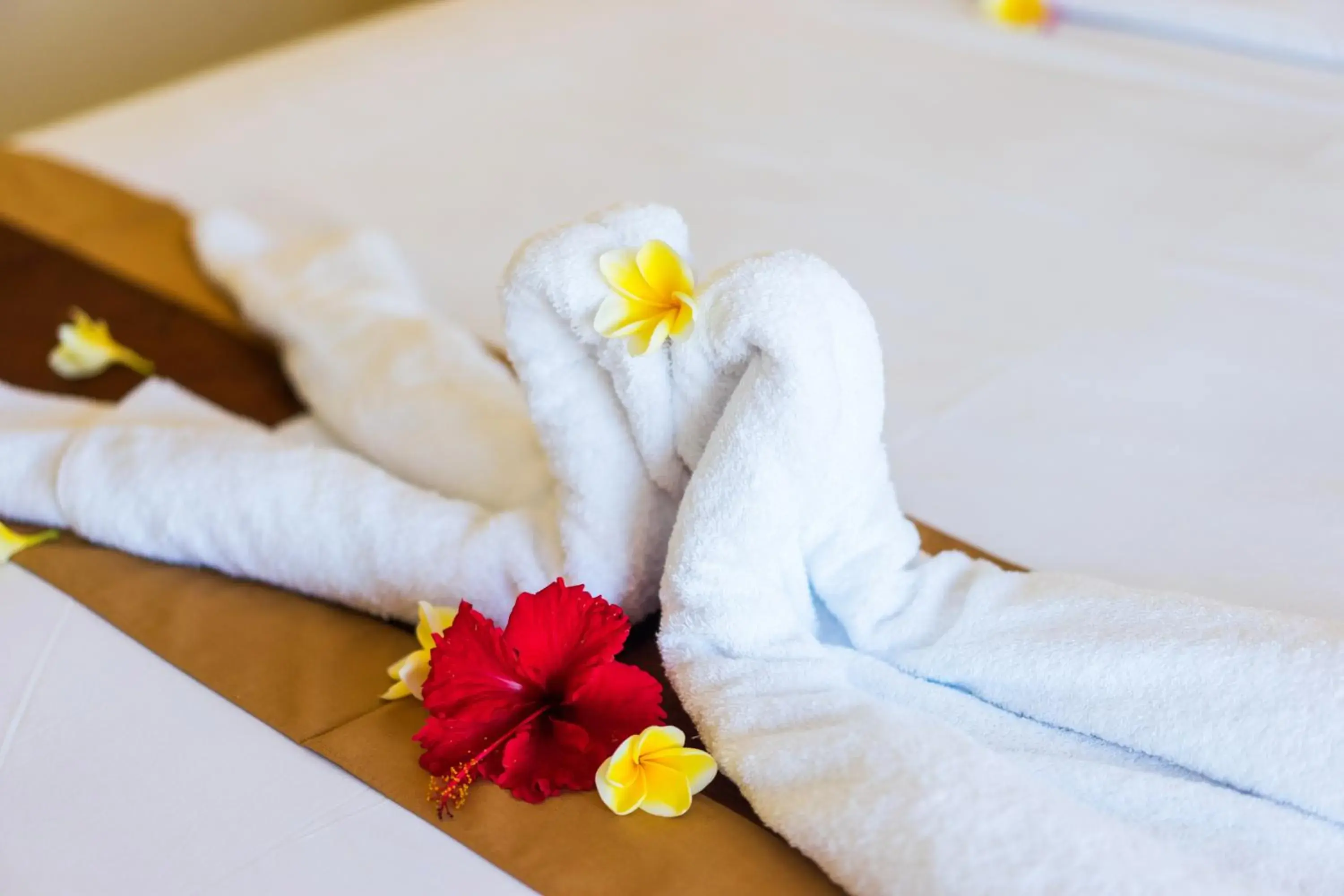 Bed in Seaweed Guesthouse Bed in Seaweed Guesthouse