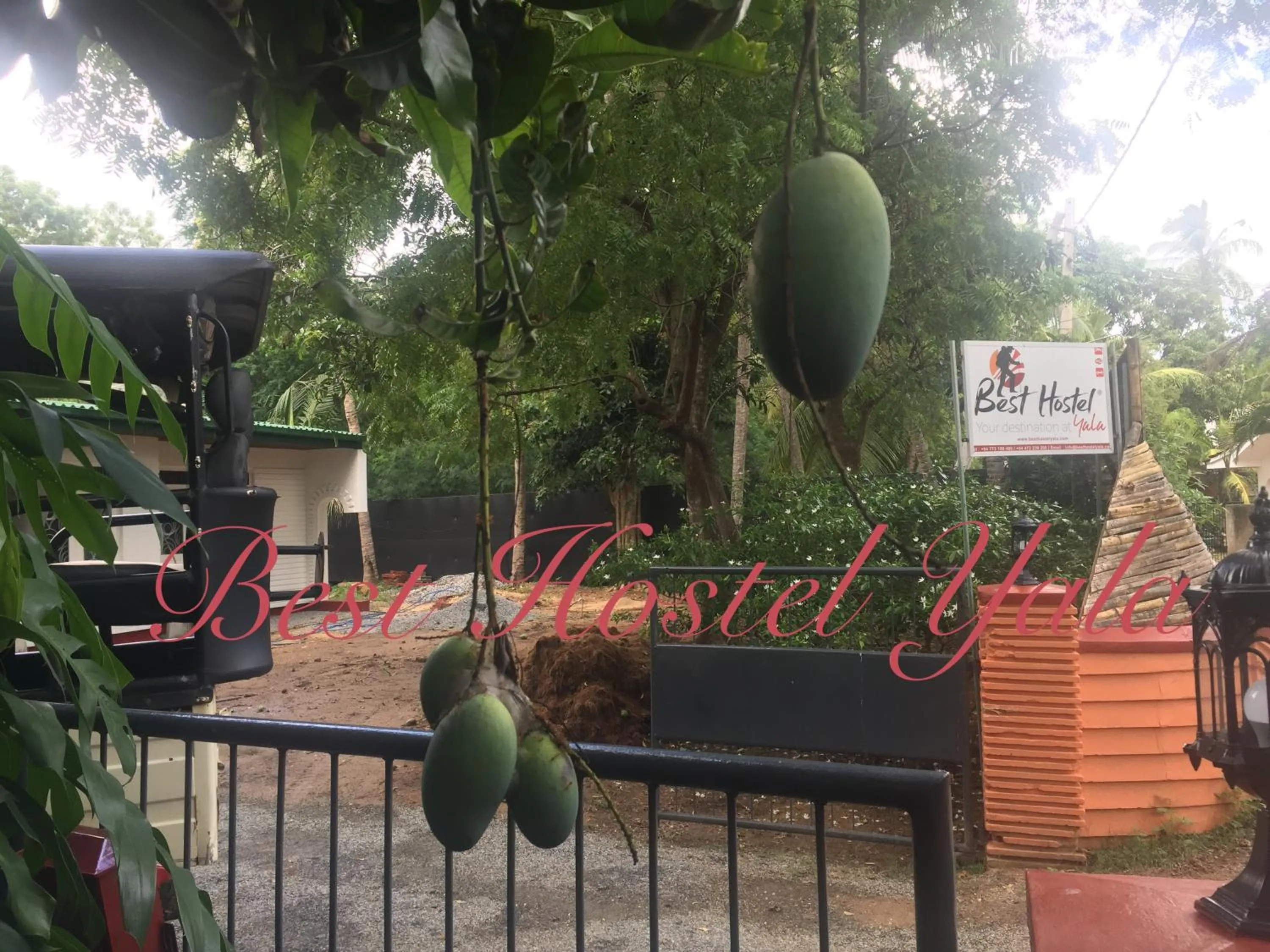 Best hostel Yala