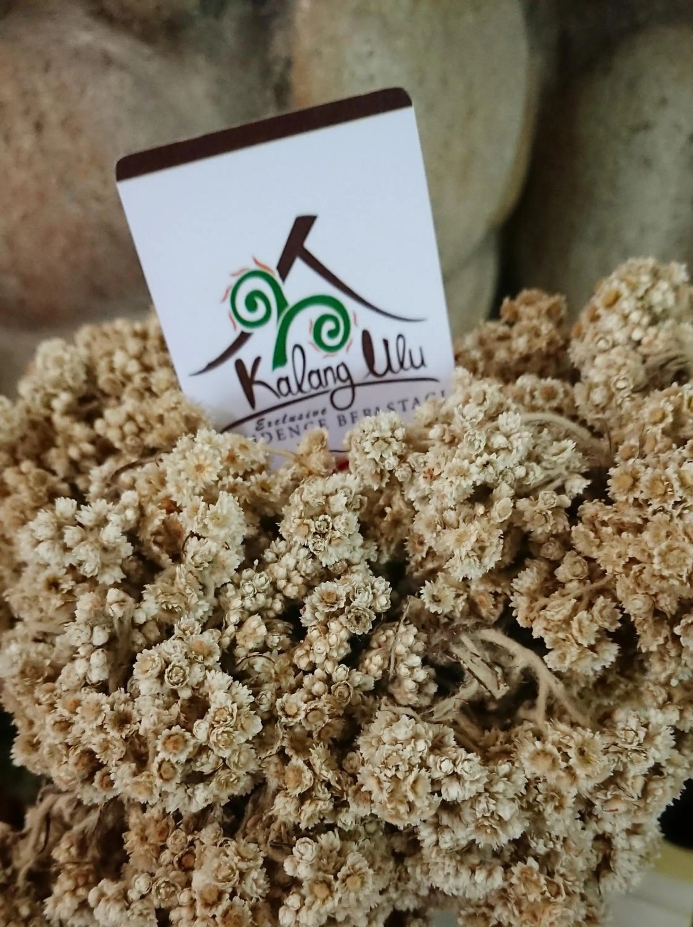 Property logo or sign in Hotel Kalang Ulu