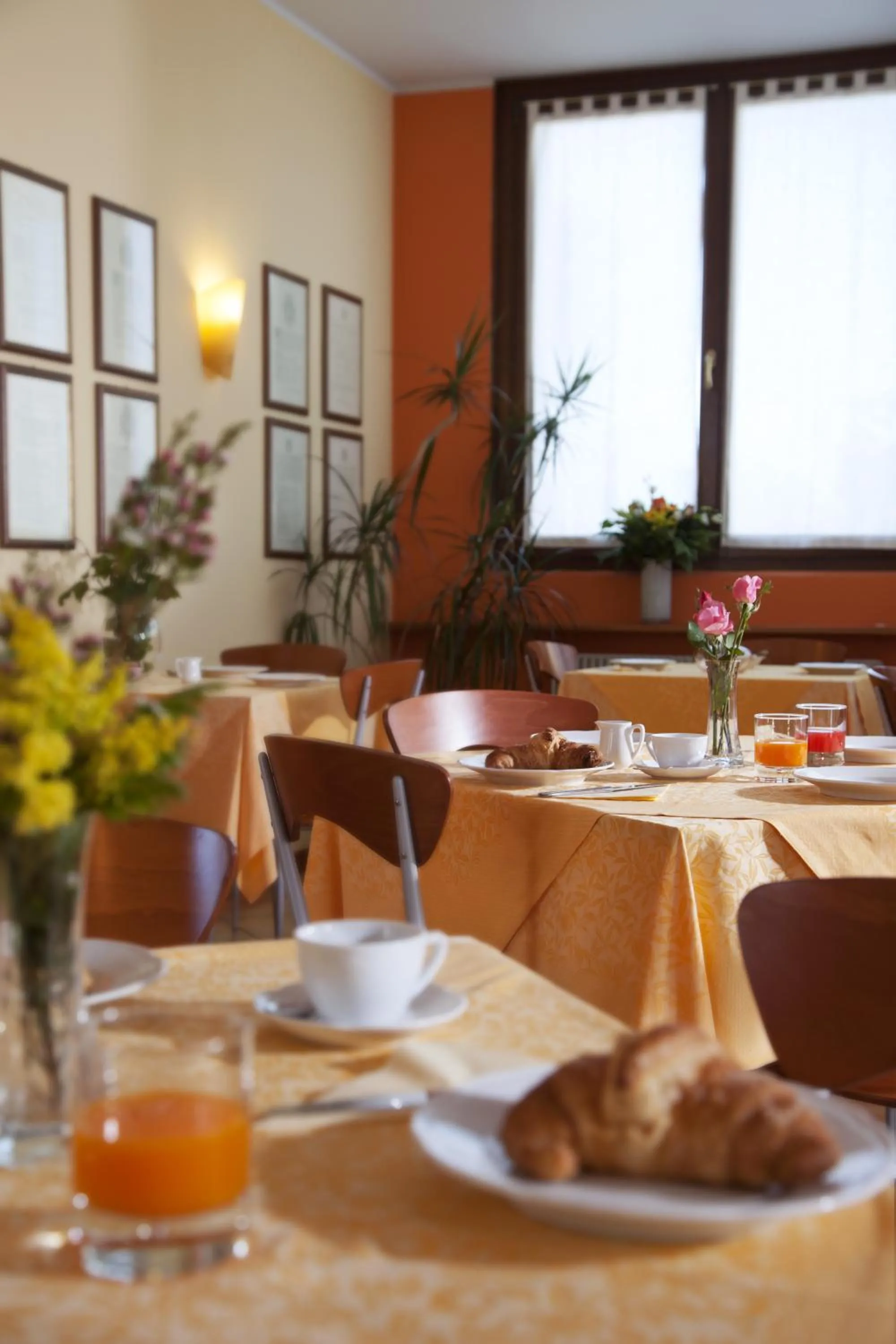 Restaurant/places to eat in Hotel Naonis