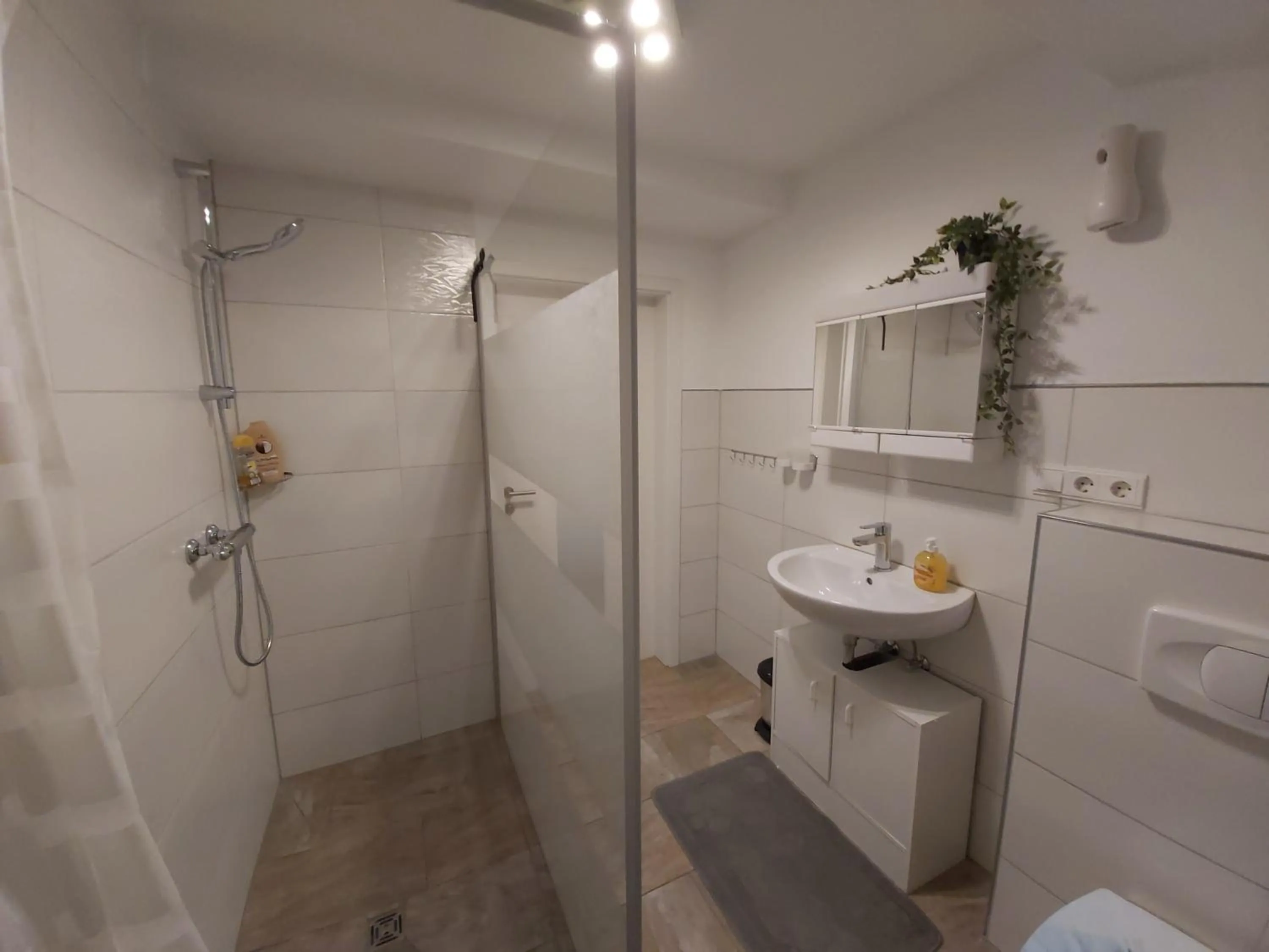 Shower in Albi Haus Winterberg