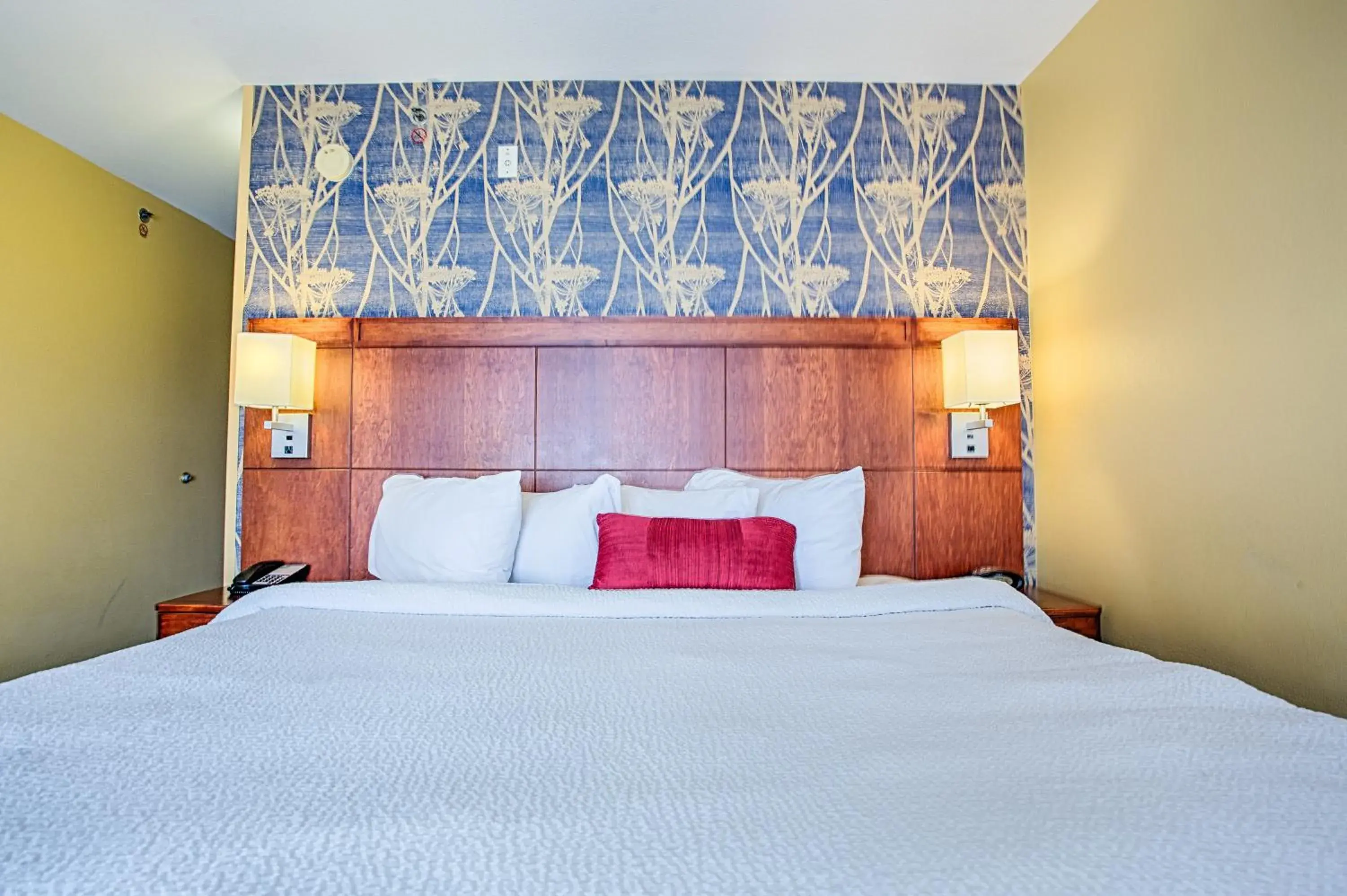 King Room with Whirlpool in Courtyard Fargo Moorhead, MN King Room with Whirlpool in Courtyard Fargo Moorhead, MN