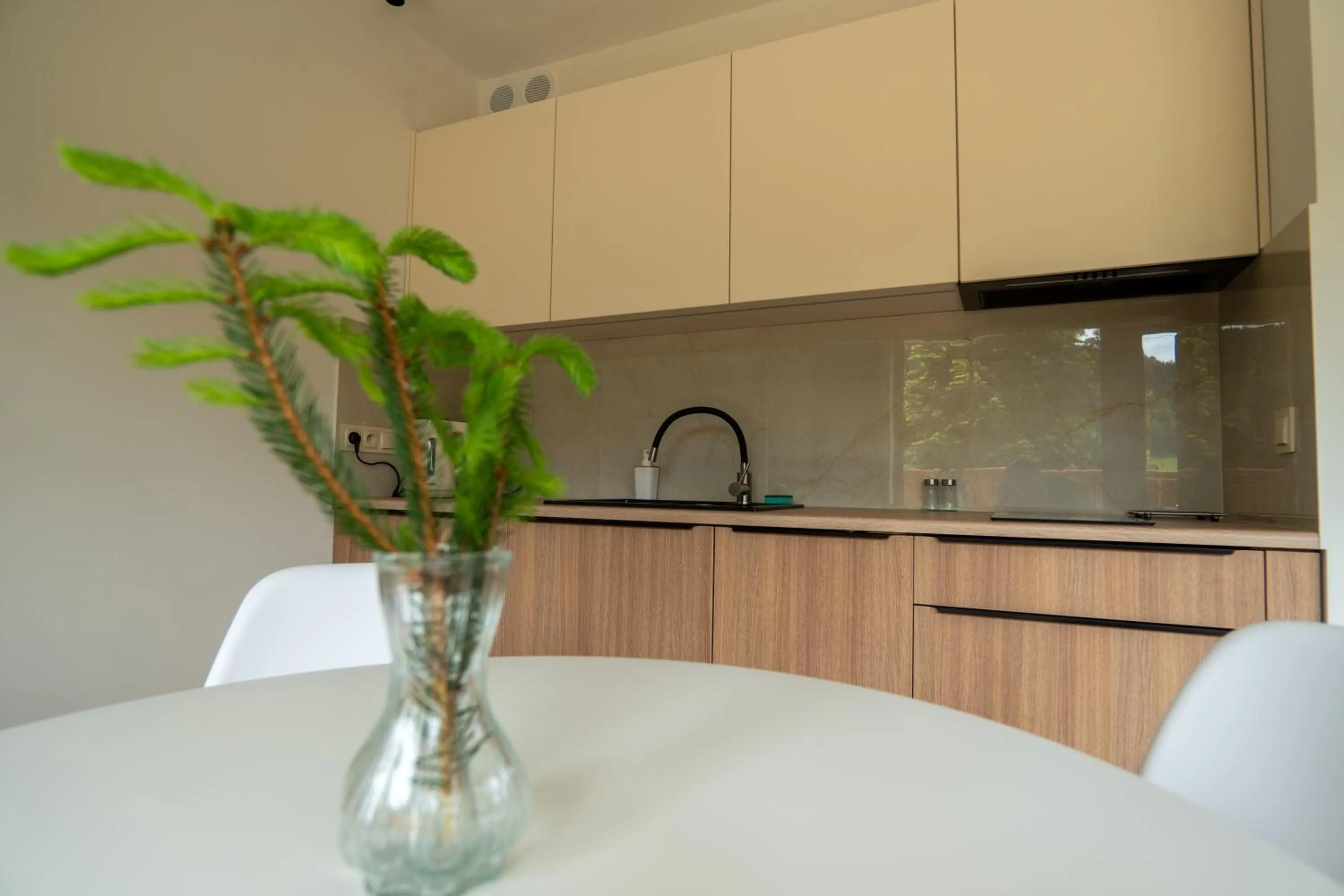 Kitchen or kitchenette in Willa i Wzgórze Jerrego Apartamenty i pokoje z widokiem na góry