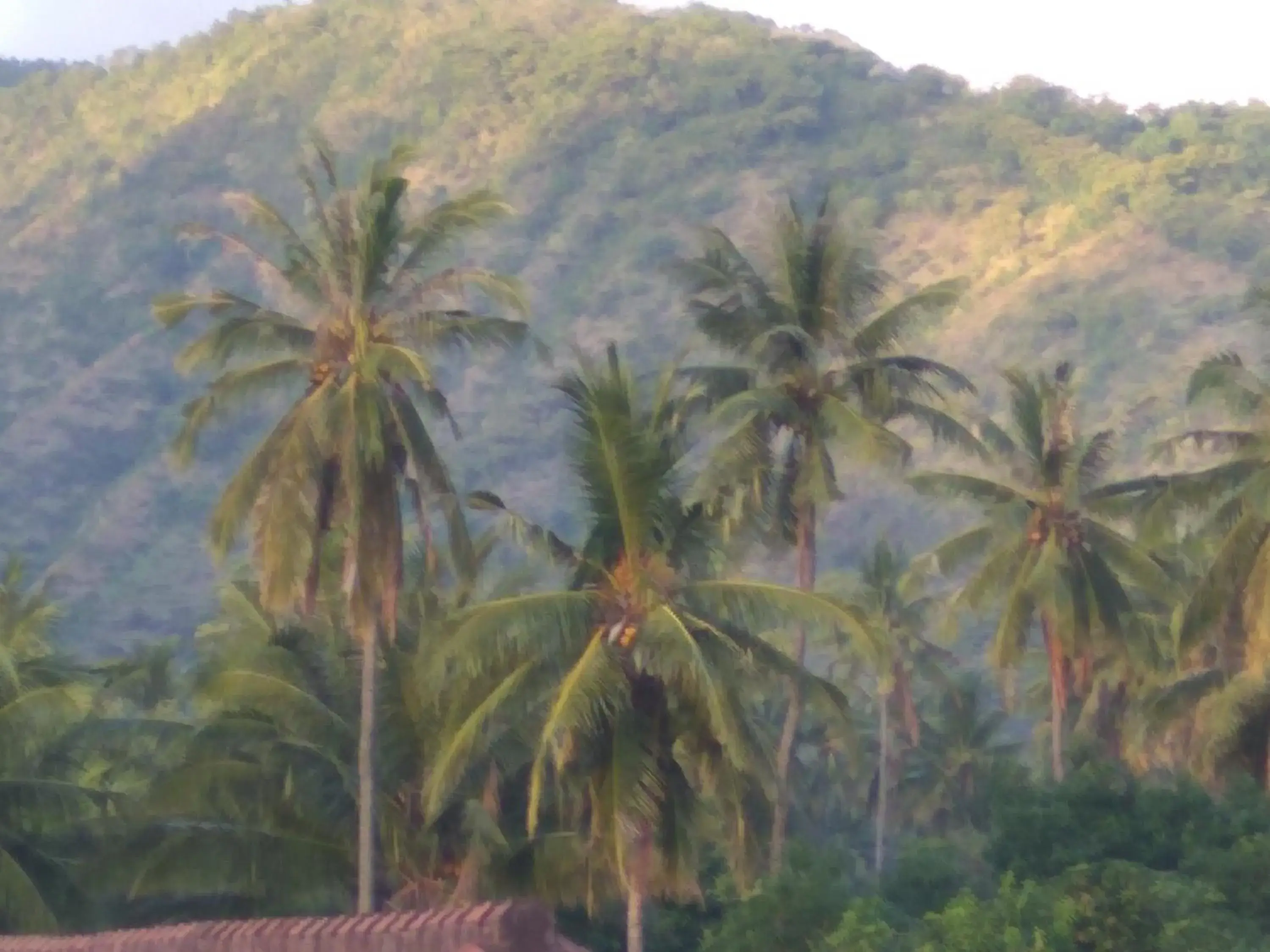 Mountain view in Master Homestay Mountain view in Master Homestay