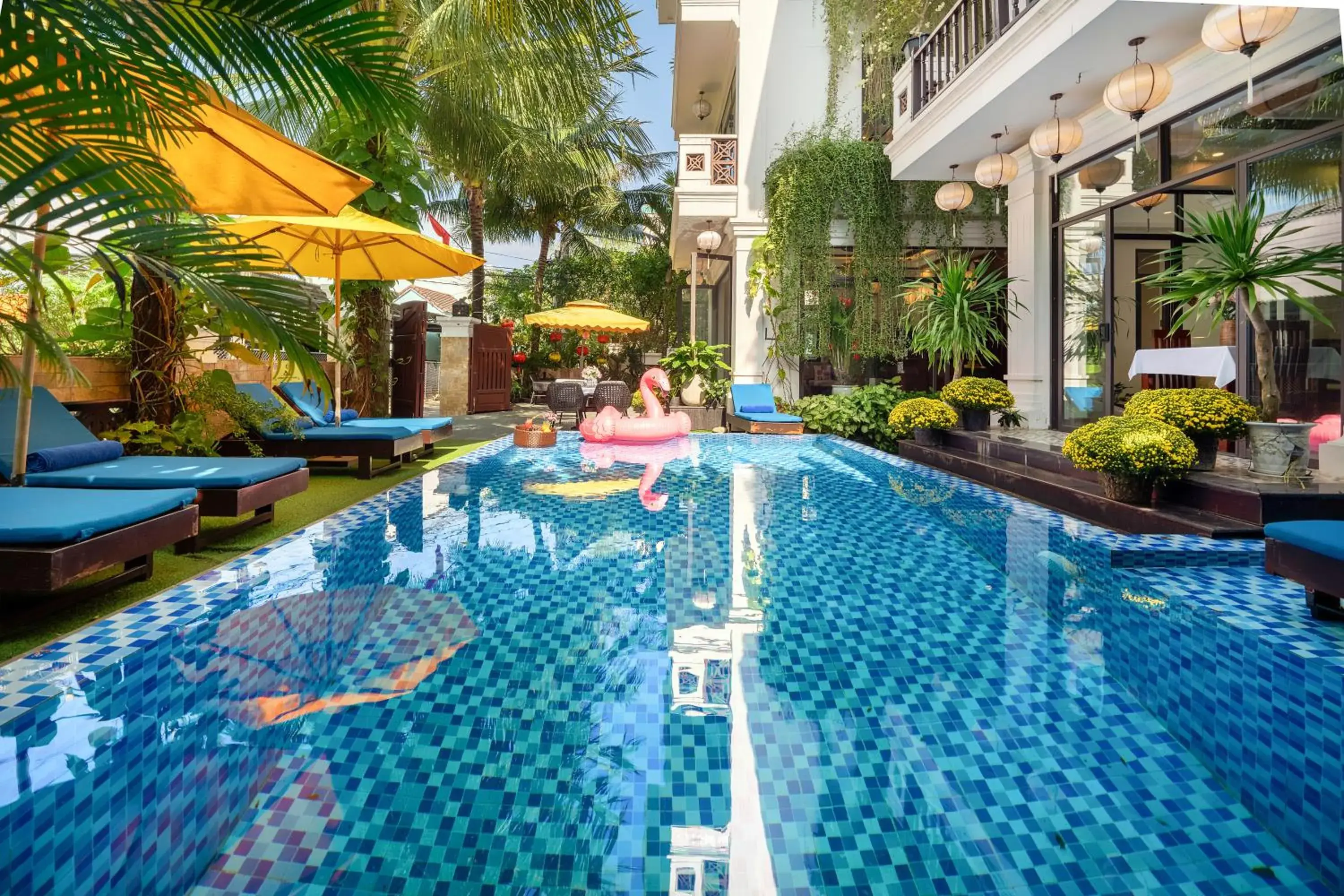 Swimming pool in Hoi An Discovery Villa Swimming pool in Hoi An Discovery Villa