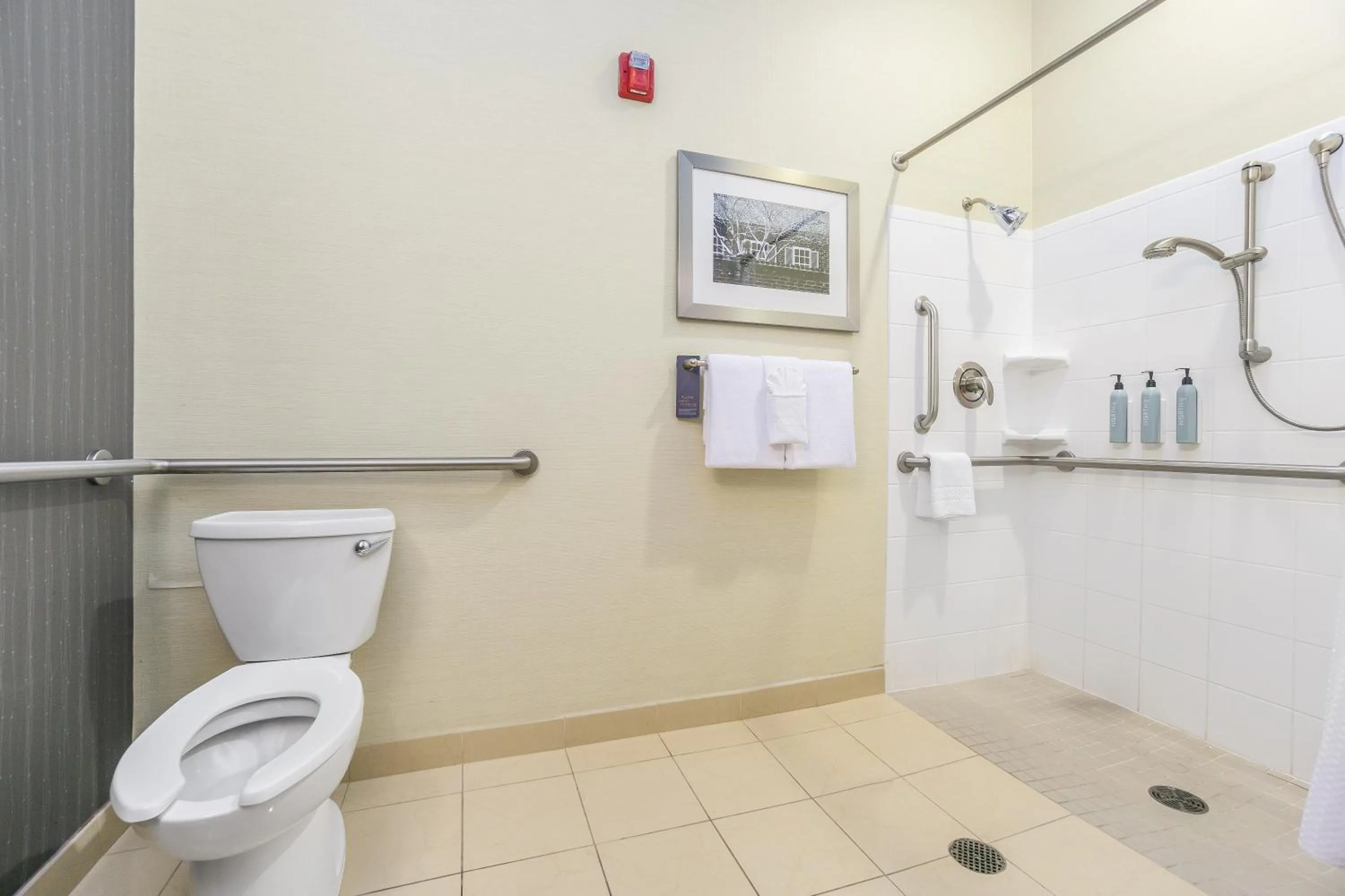 Bathroom in Courtyard Fredericksburg Historic District
