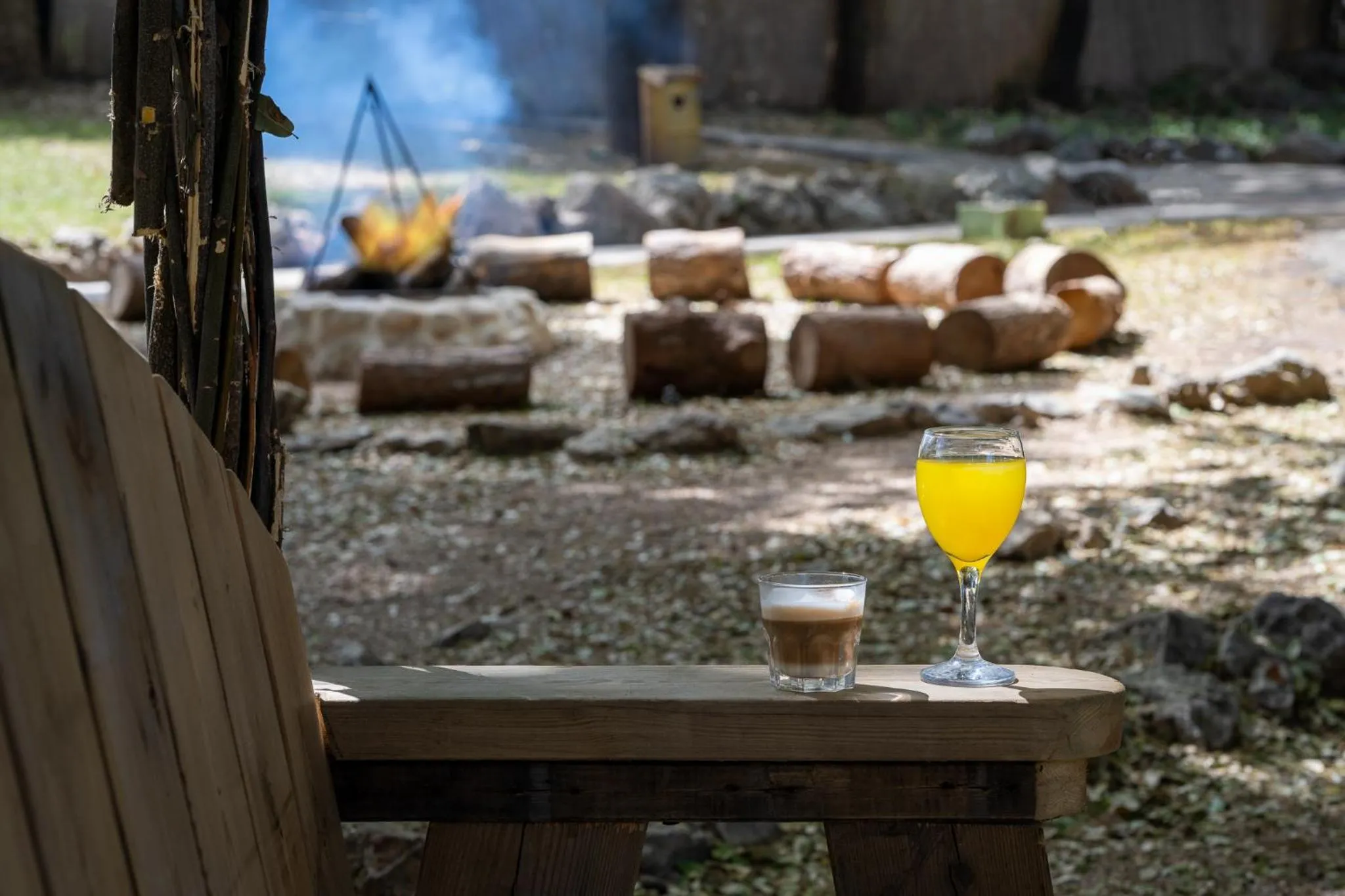 Garden in Travel Hotel Eilon