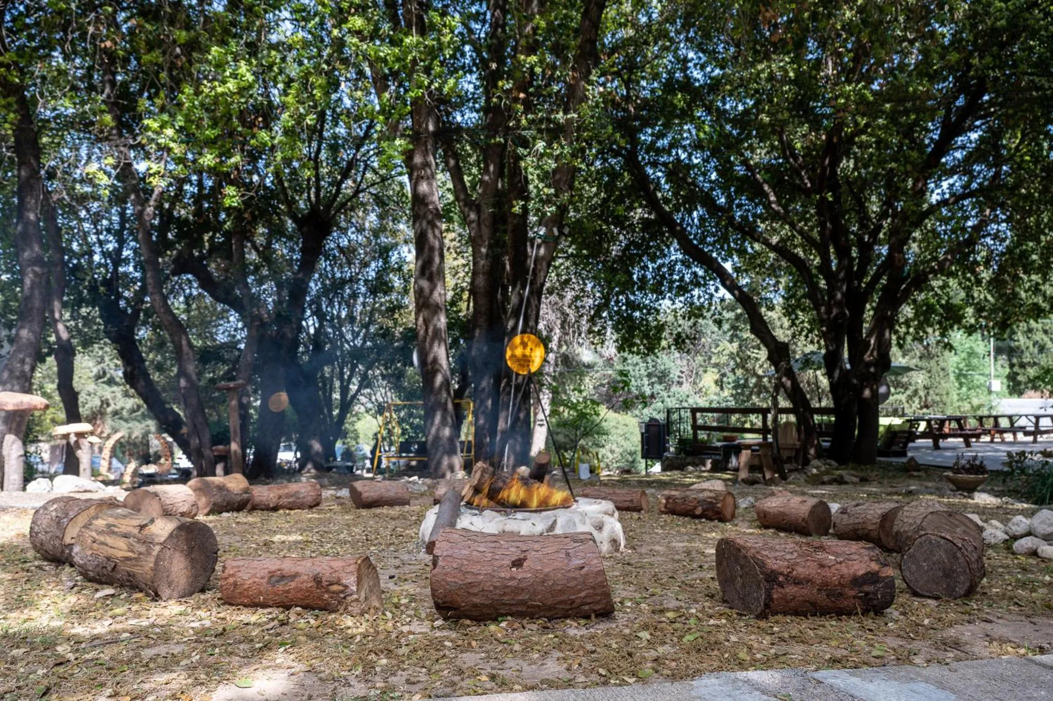 Activities in Travel Hotel Eilon