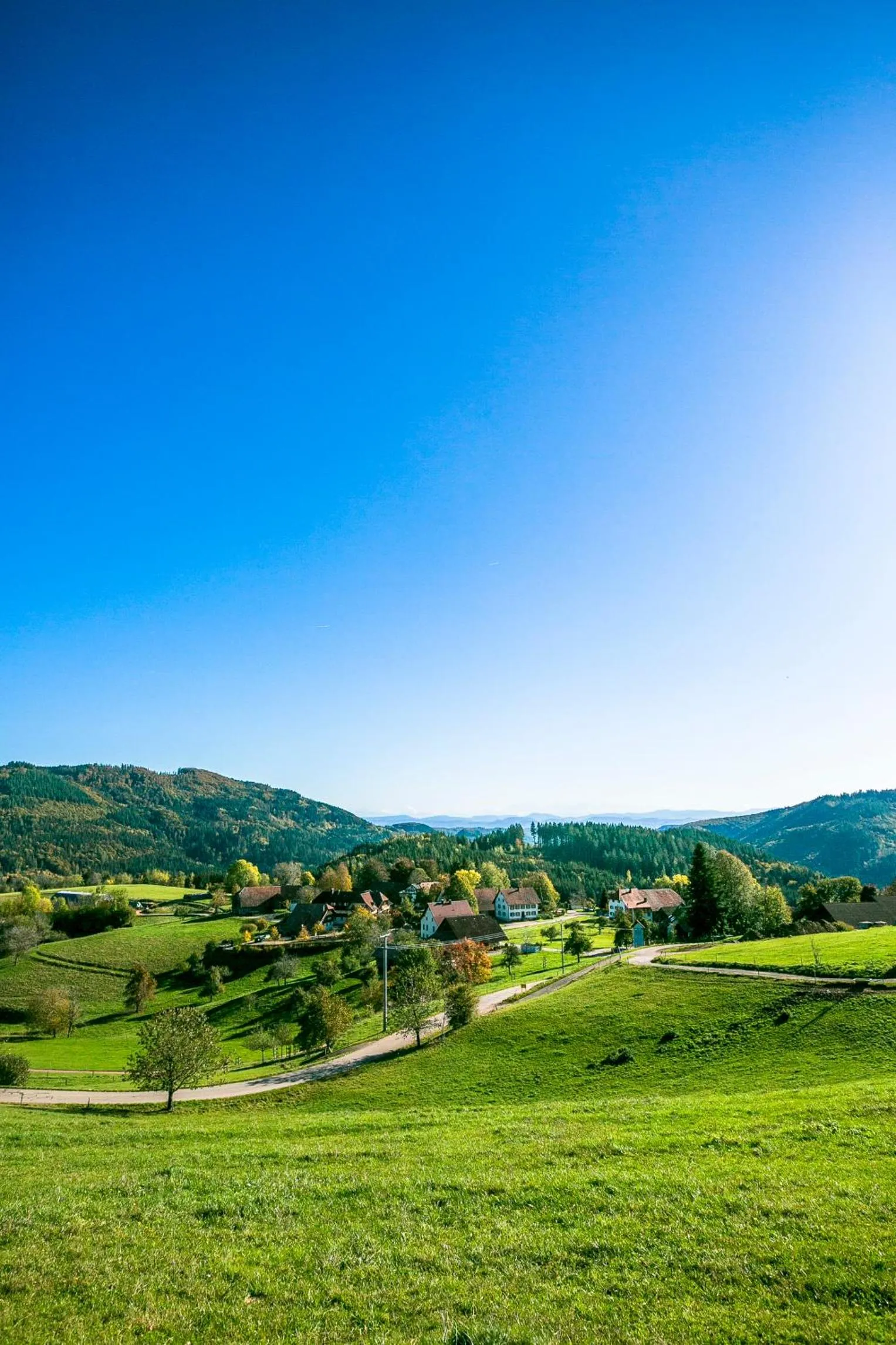 Hotel-Restaurant Sennhütte im Herzen des Südschwarzwalds