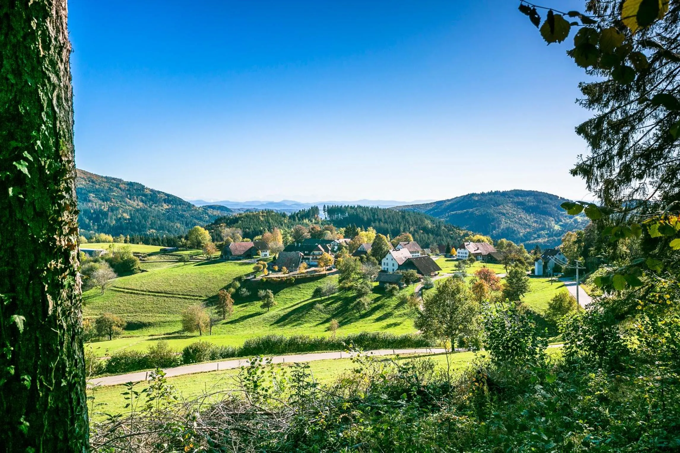 Hotel-Restaurant Sennhütte im Herzen des Südschwarzwalds