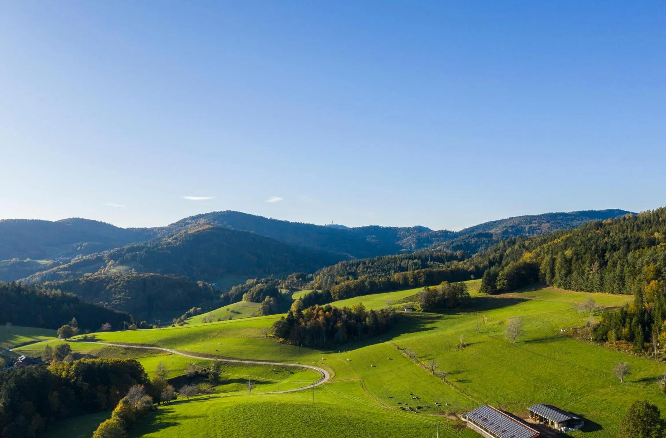 Hotel-Restaurant Sennhütte im Herzen des Südschwarzwalds