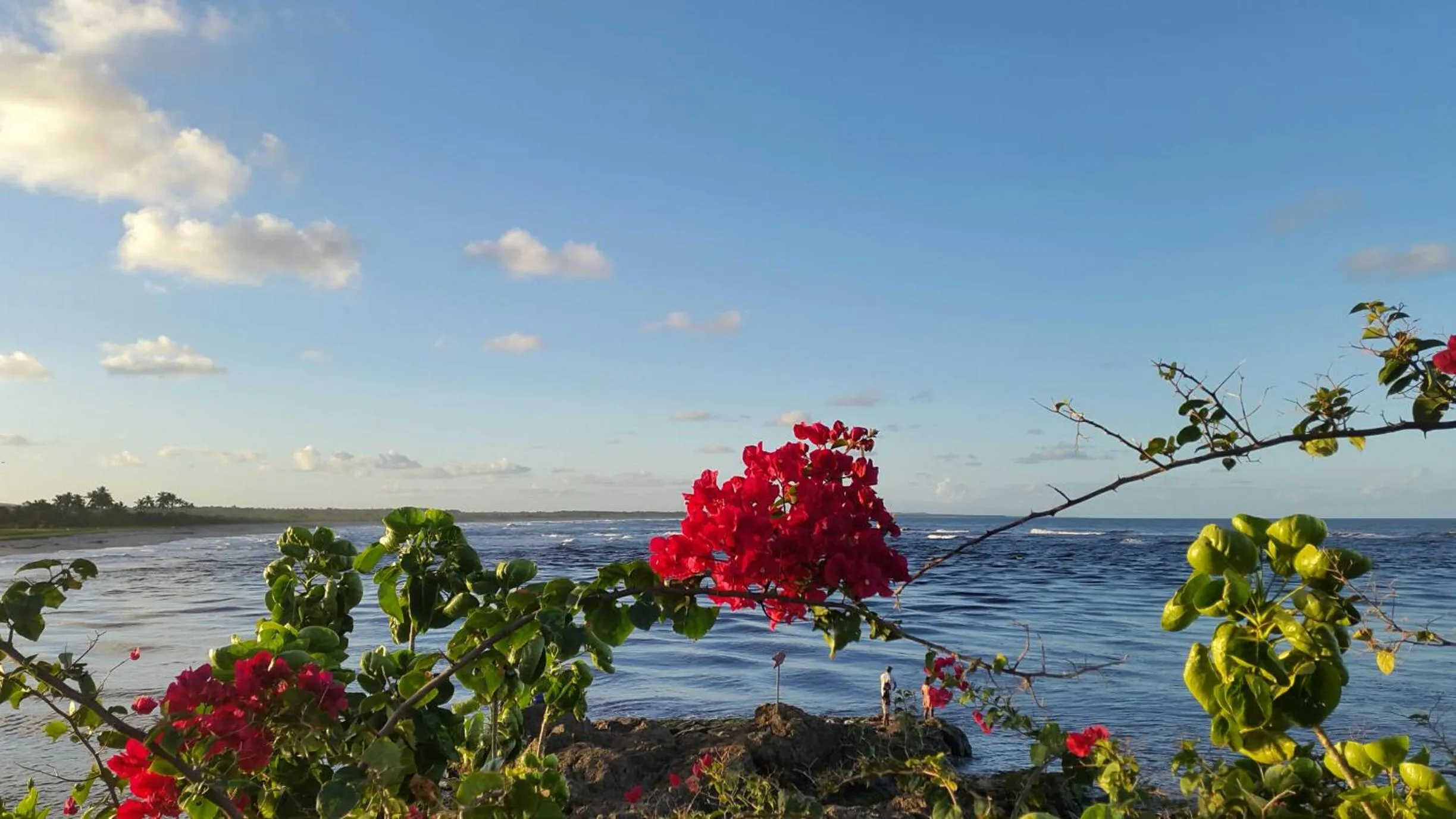 Natural landscape in Pousada Piratas