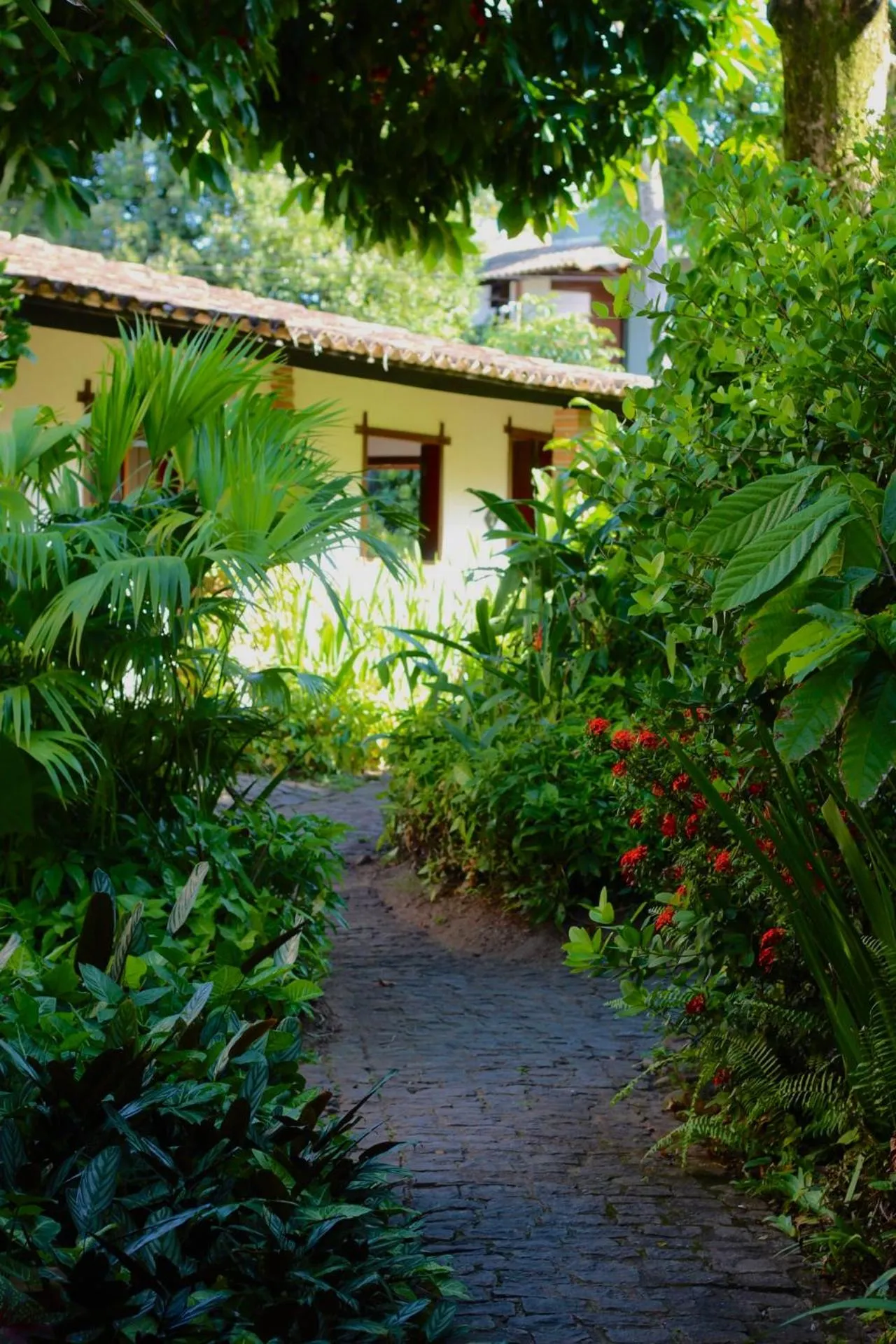 Garden in Pousada Piratas