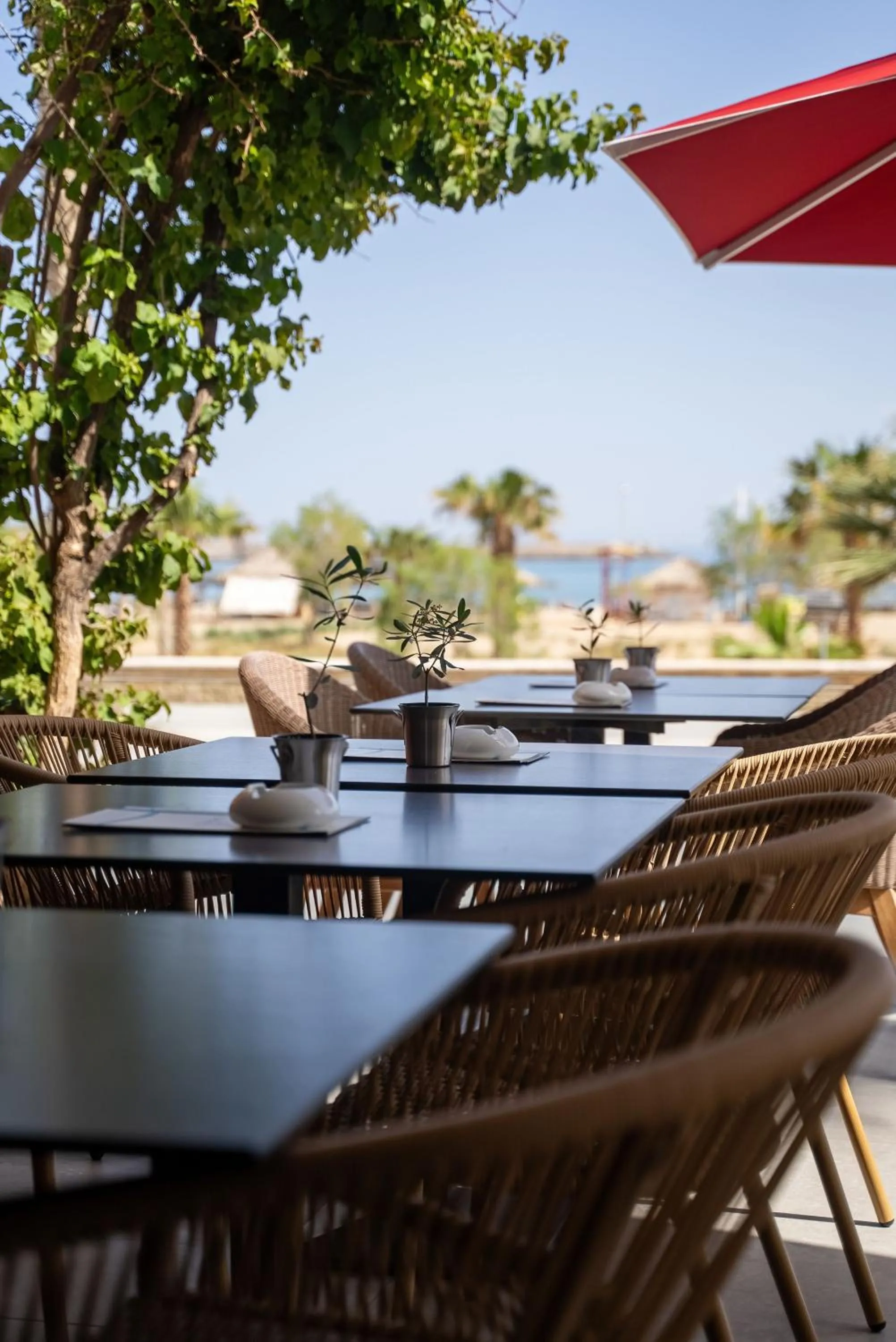 Lounge or bar in Kriti Beach Hotel