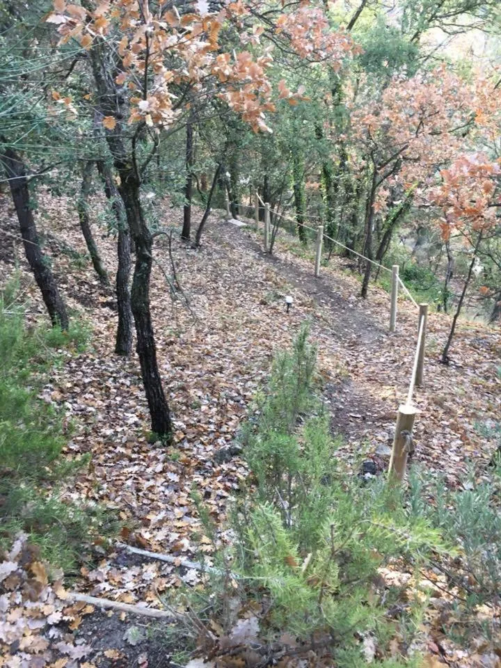 Property building in La cabane des amoureux